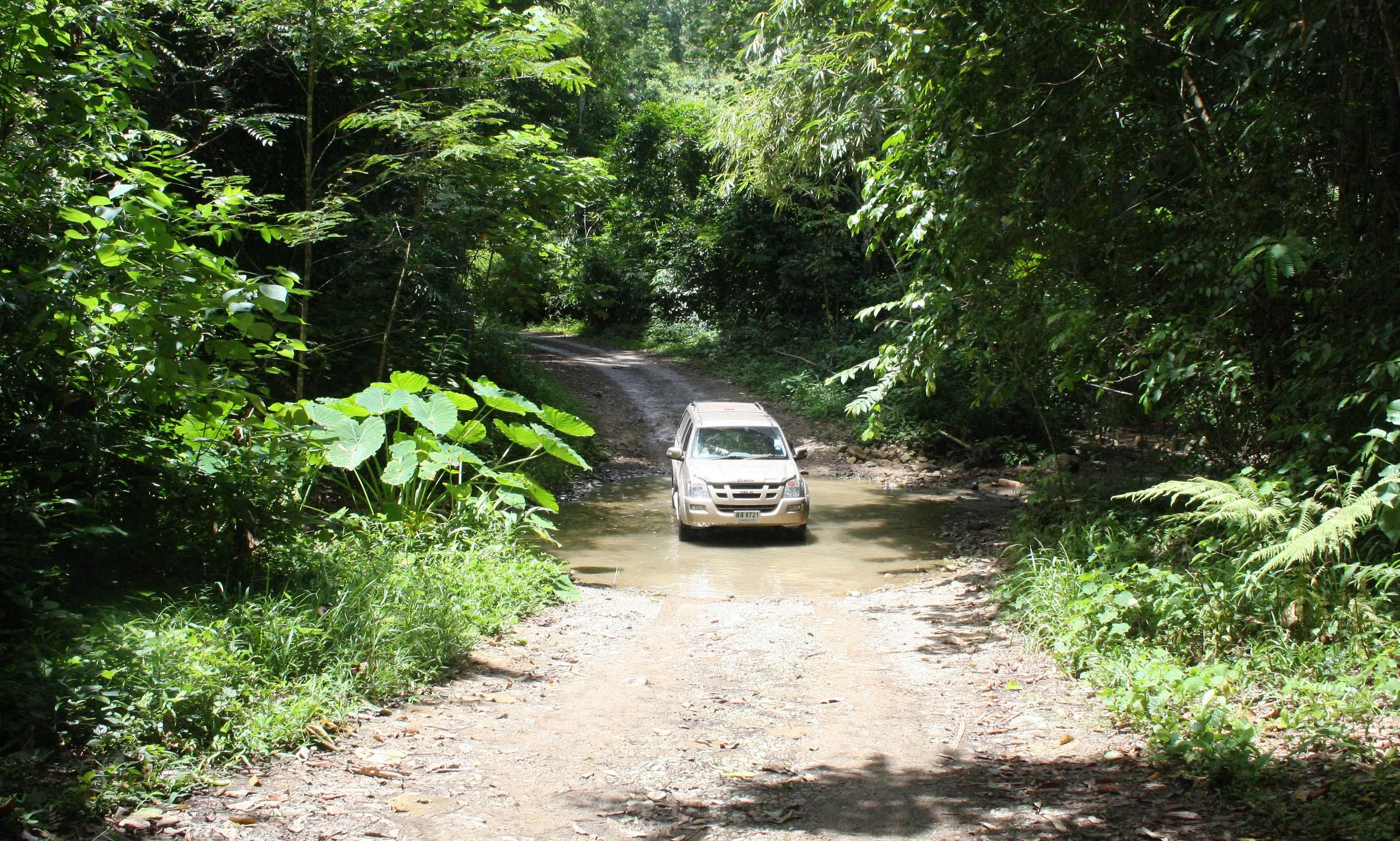 2008 Kaeng Krachan NP Trip with Cokie & Som (64).JPG