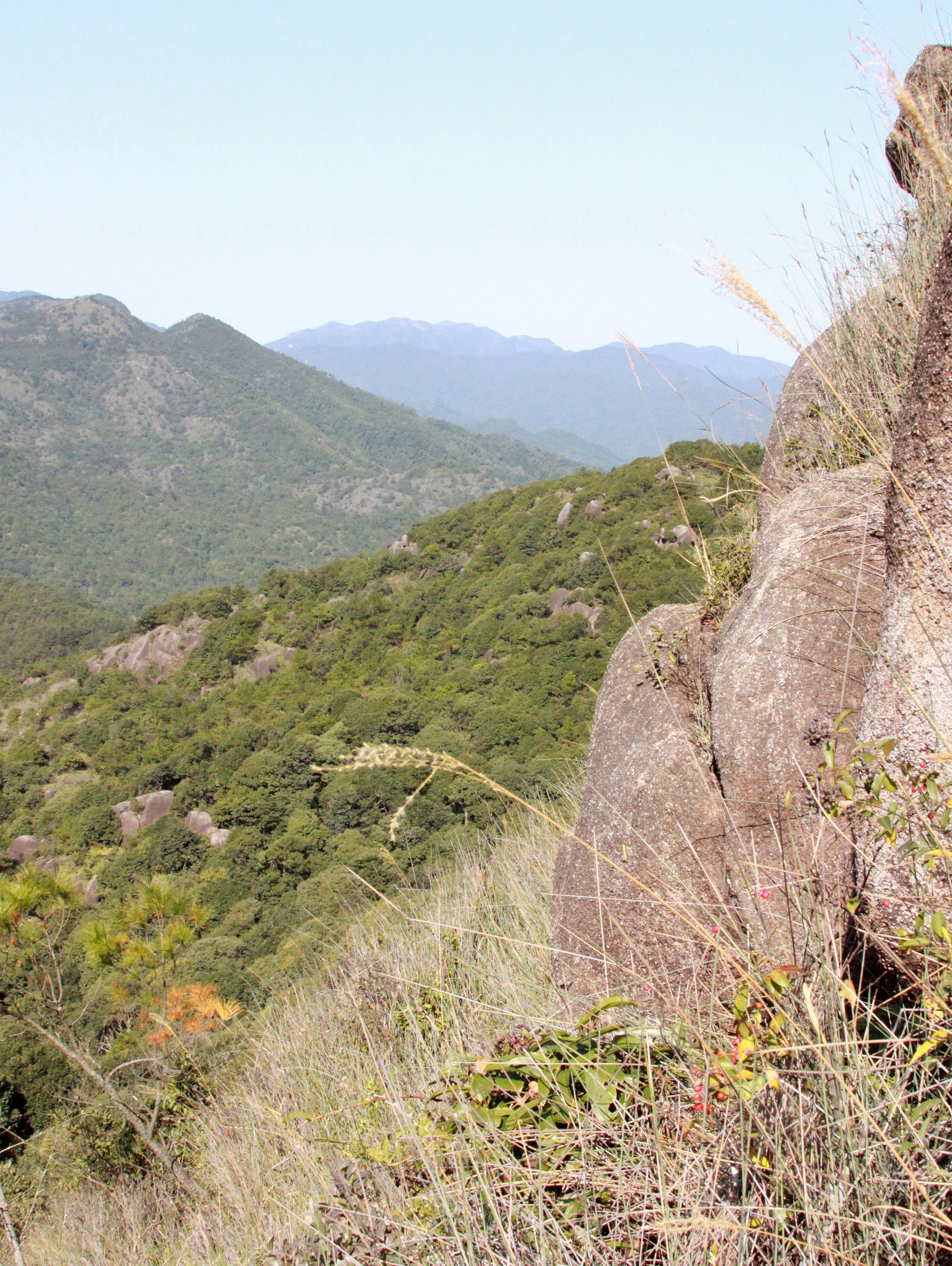 MEIHUASHAN - FUJIAN CHINA (84).JPG