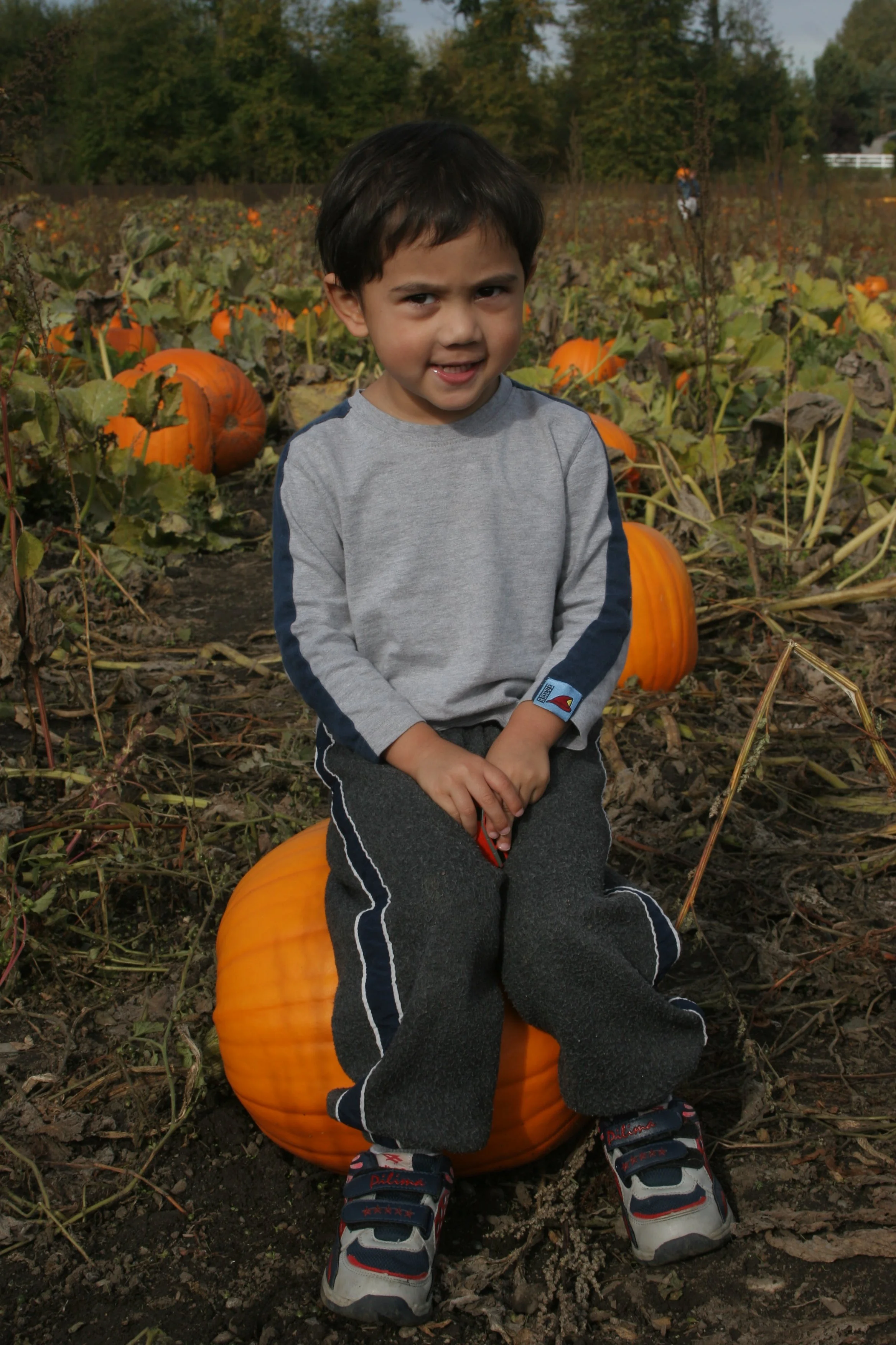 2005-10-9 PUMPKIN PATCH PORT ANGELES (4).JPG