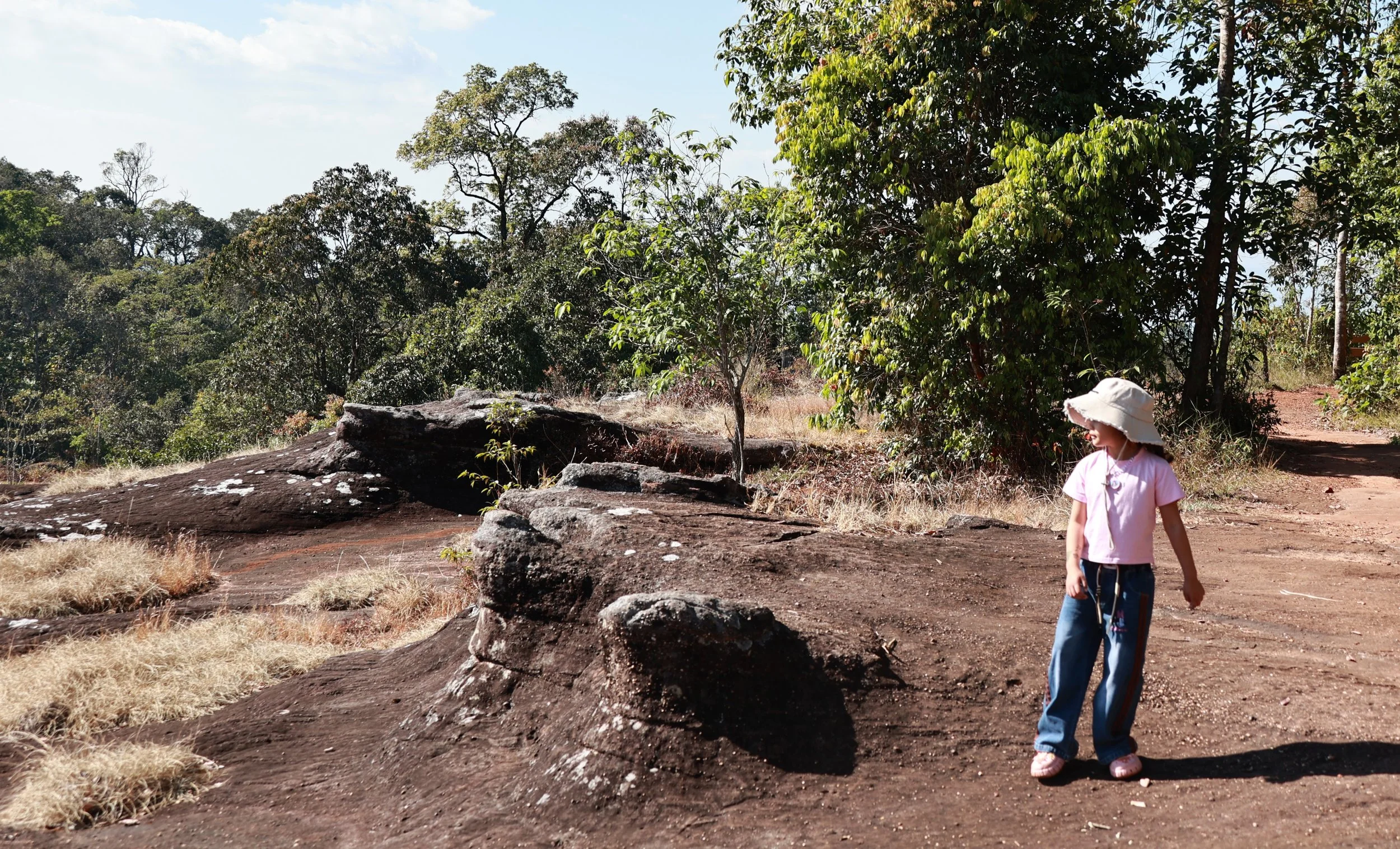 Phu Hin Rong Kla National Park Loei Province (21).jpg