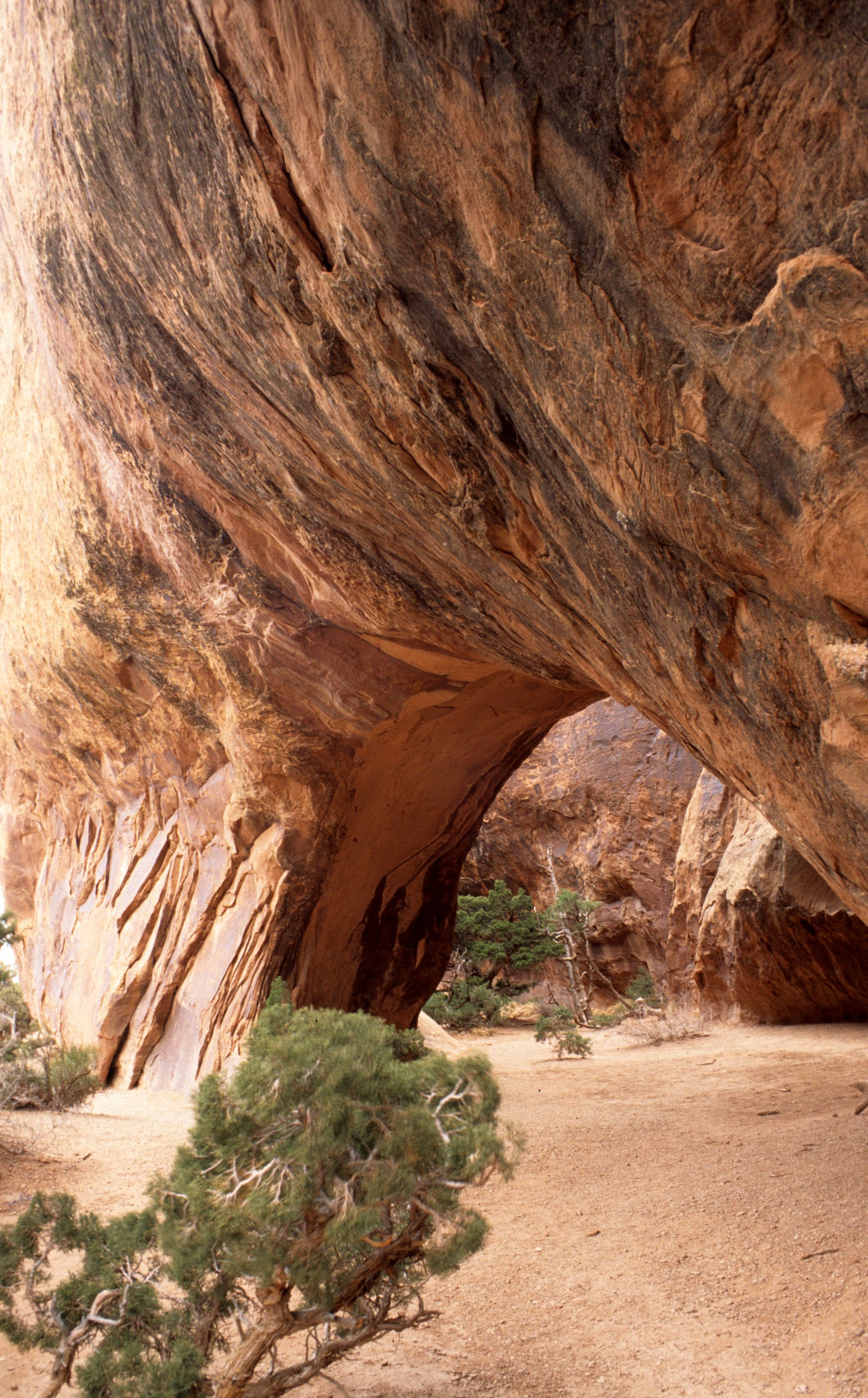 UTAH - ARCHES NP Z.jpg