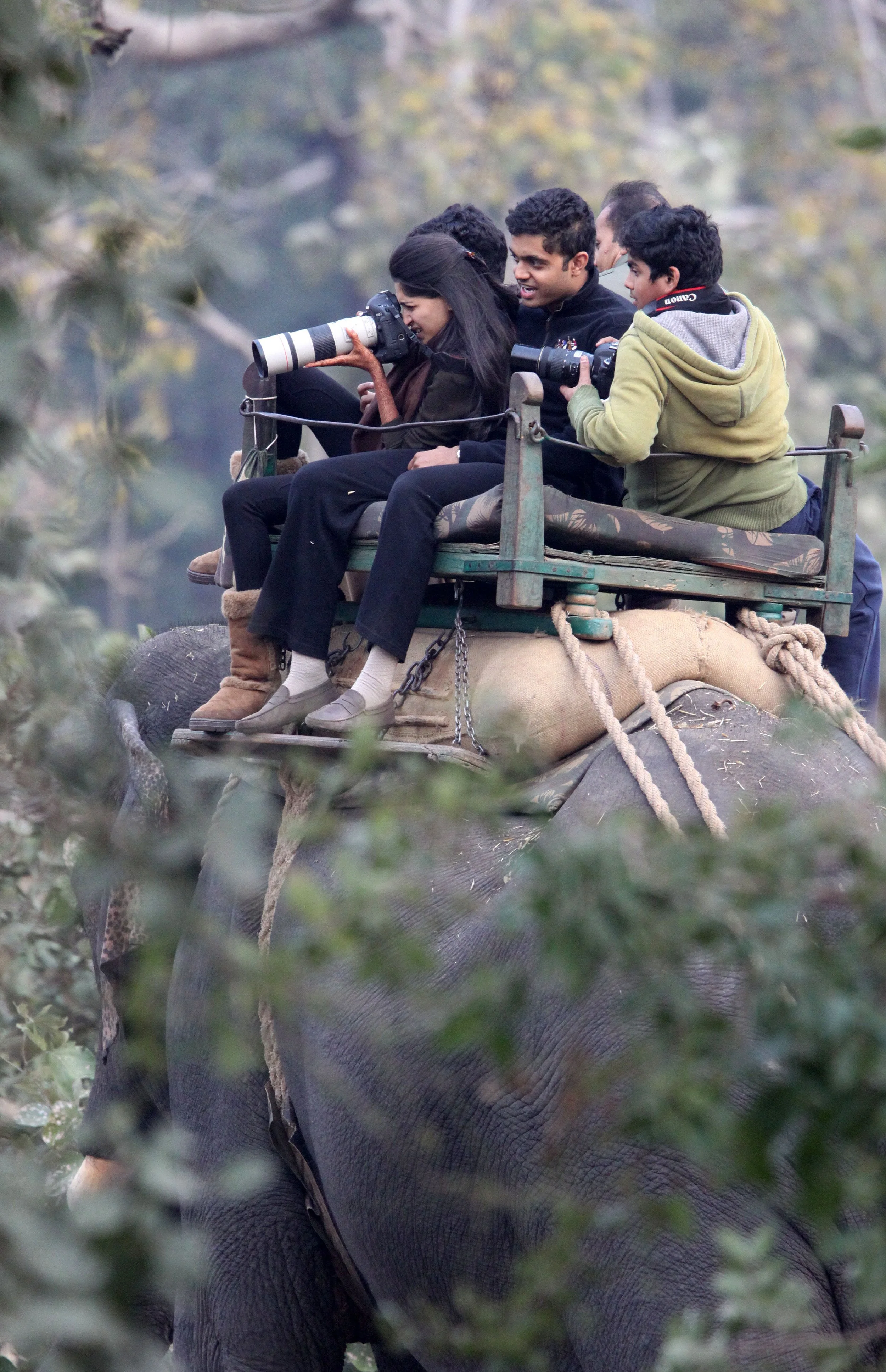 MADHYA PRADESH - BANDHAVGAR NATIONAL PARK INDIA (13).JPG