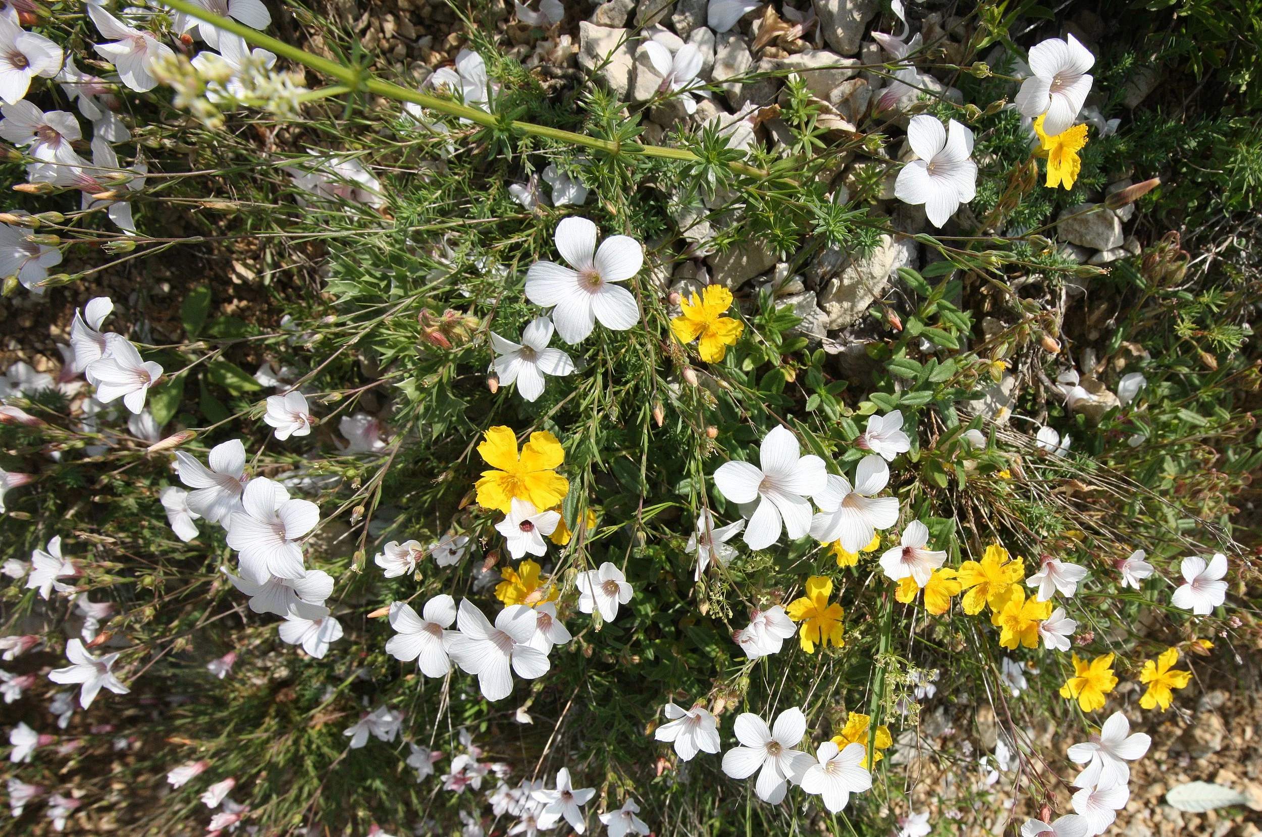 VERCORS NATIONAL PARK FRANCE (104).JPG