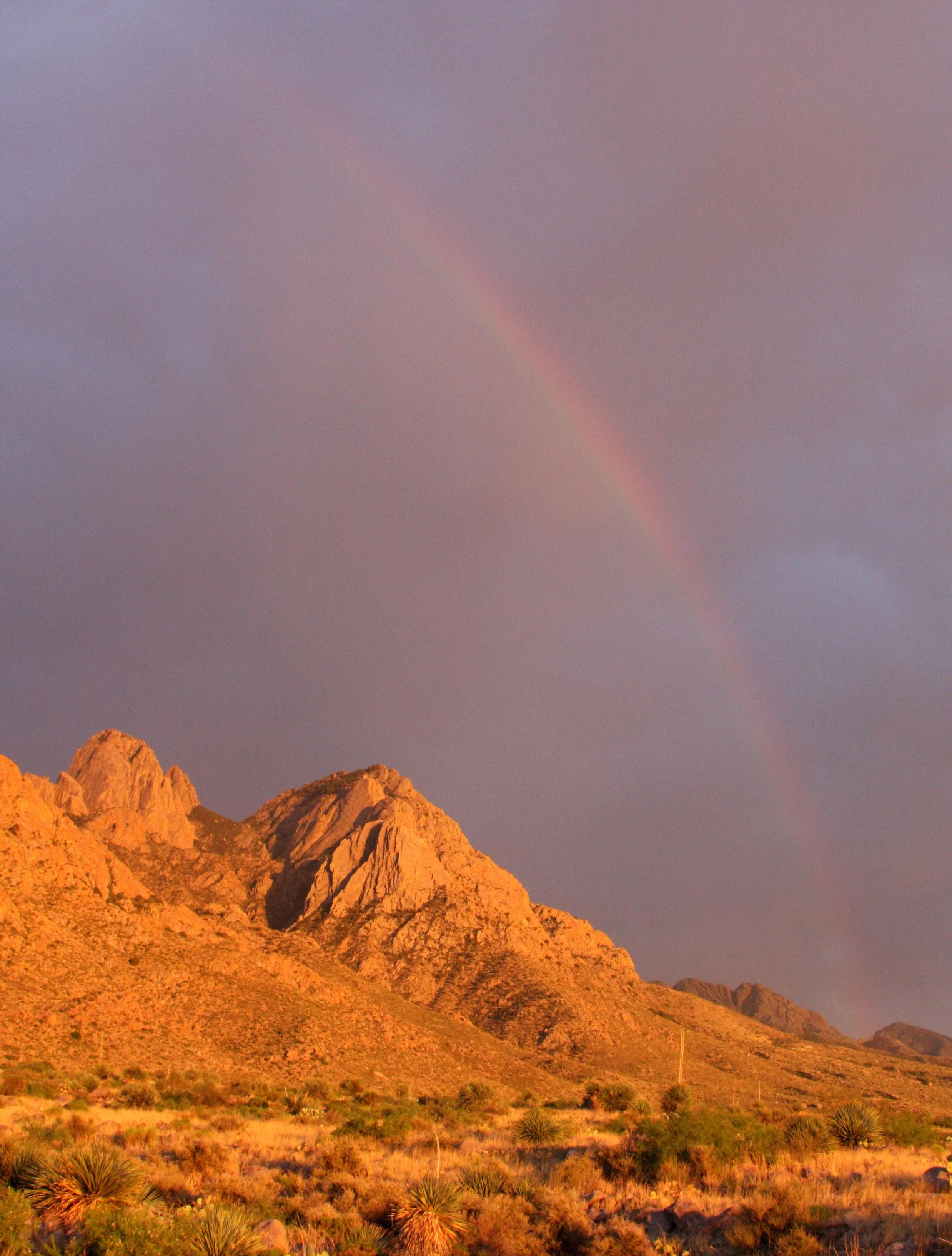 LAS CRUCES NEW MEXICO - ORGAN MOUNTAINS (18).JPG