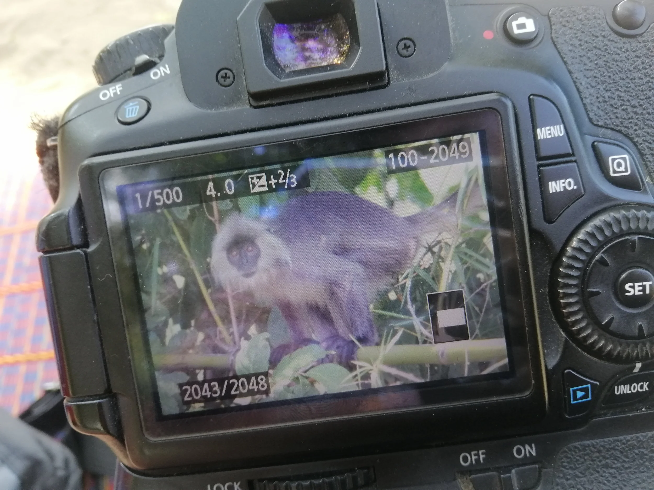 2019 Satthahip with Pregnant Gift (17).jpg