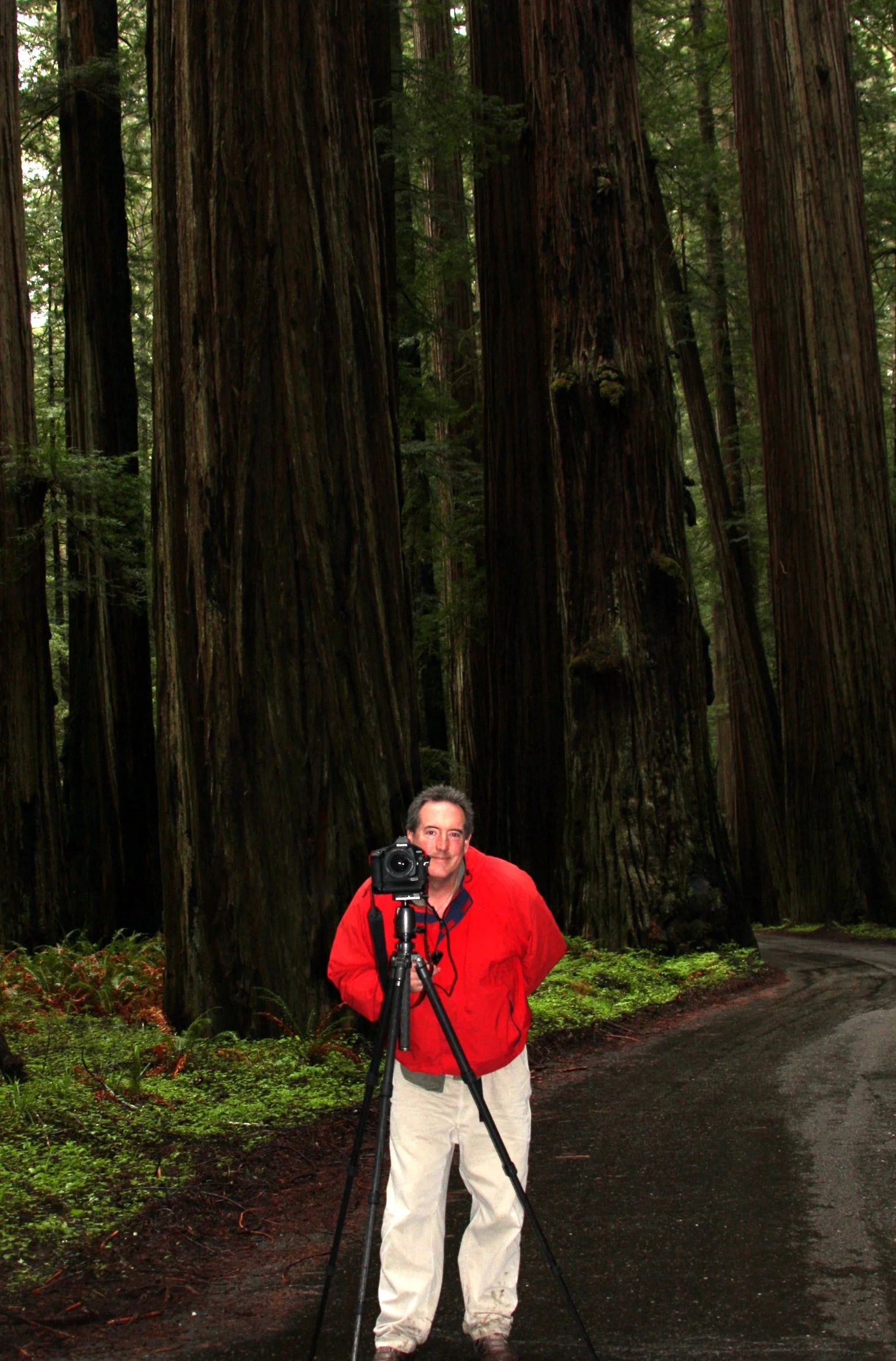 2010-4-6 HANGING IN THE REDWOODS - ROADTRIP 2010 (5).JPG