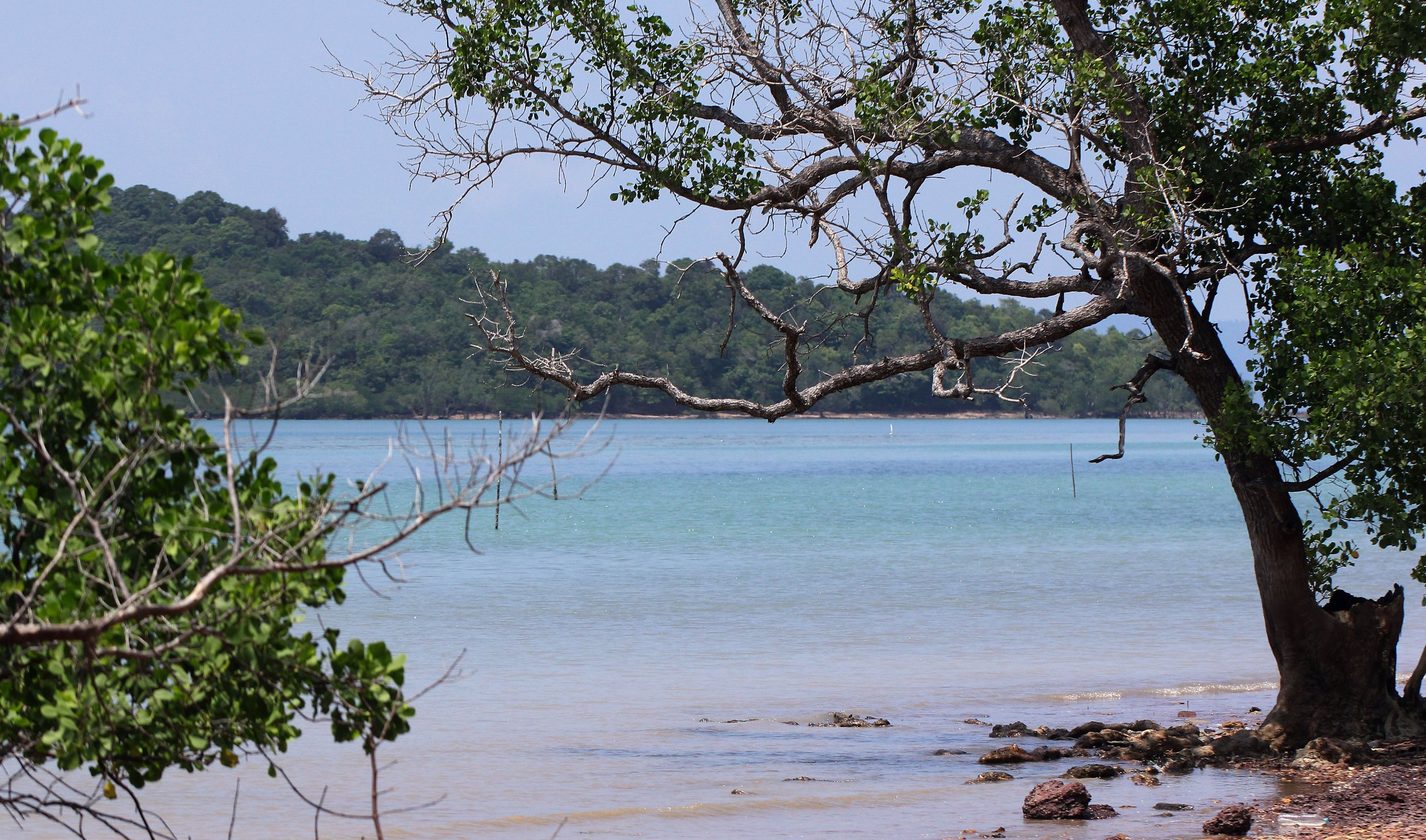 2016 Koh Lanta TheOtherSideVillas - Nature at our Home (61).JPG