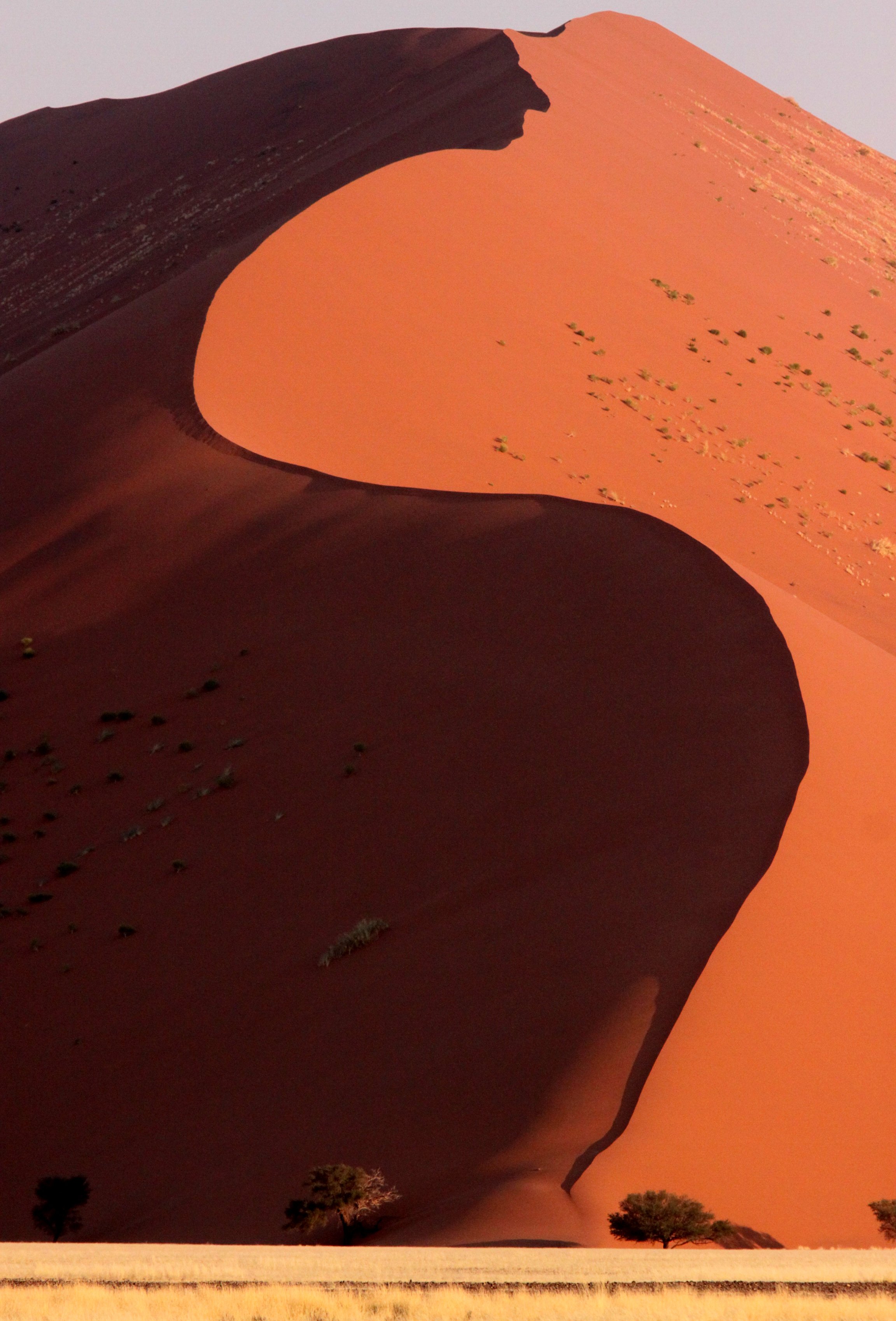 SOSSUSVLEI, NAMIB NAUKLUFT NATIONAL PARK, NAMIBIA (30).JPG