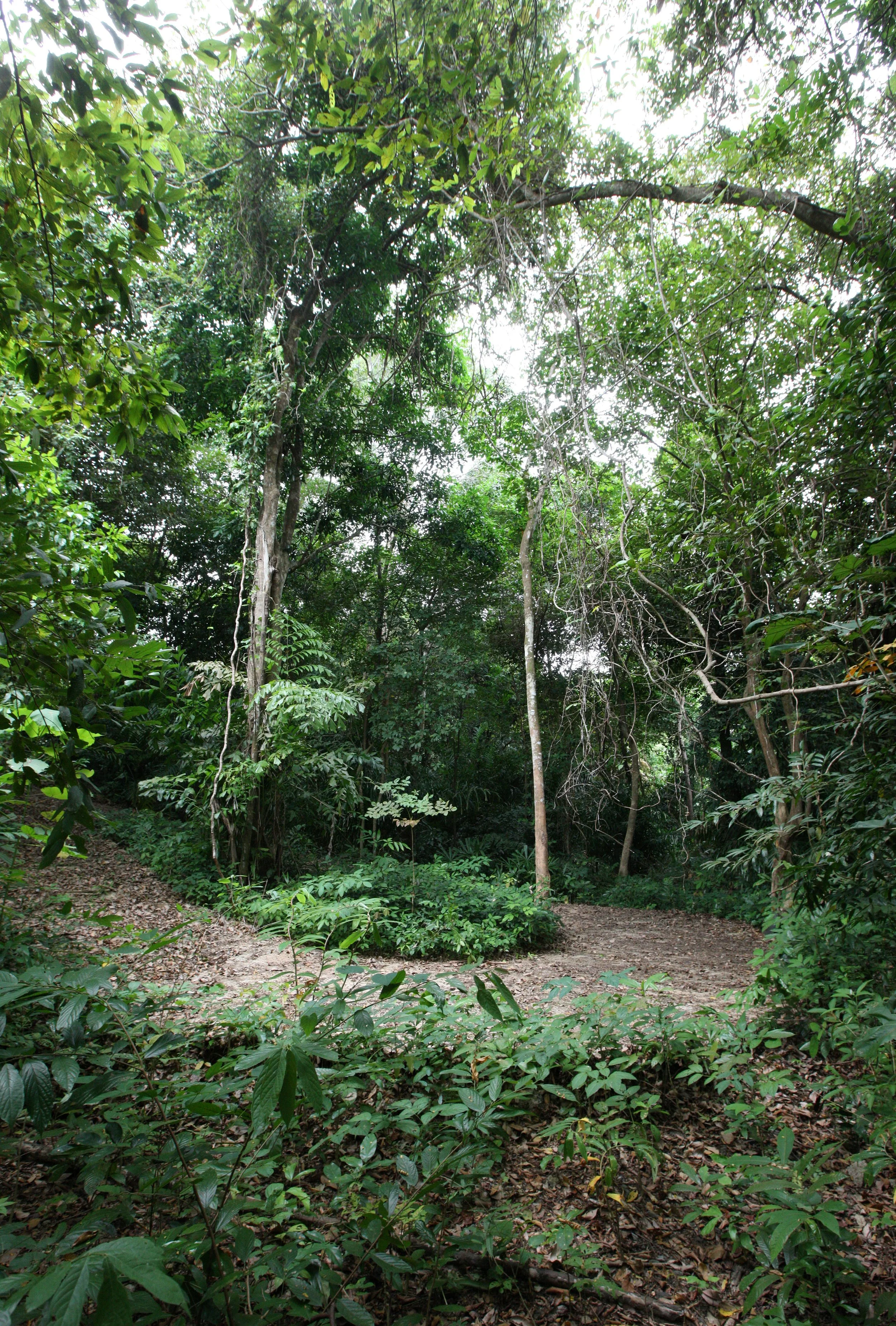 LANTA ISLAND - OUR PROPERTY - WINTER 2011 (42).JPG