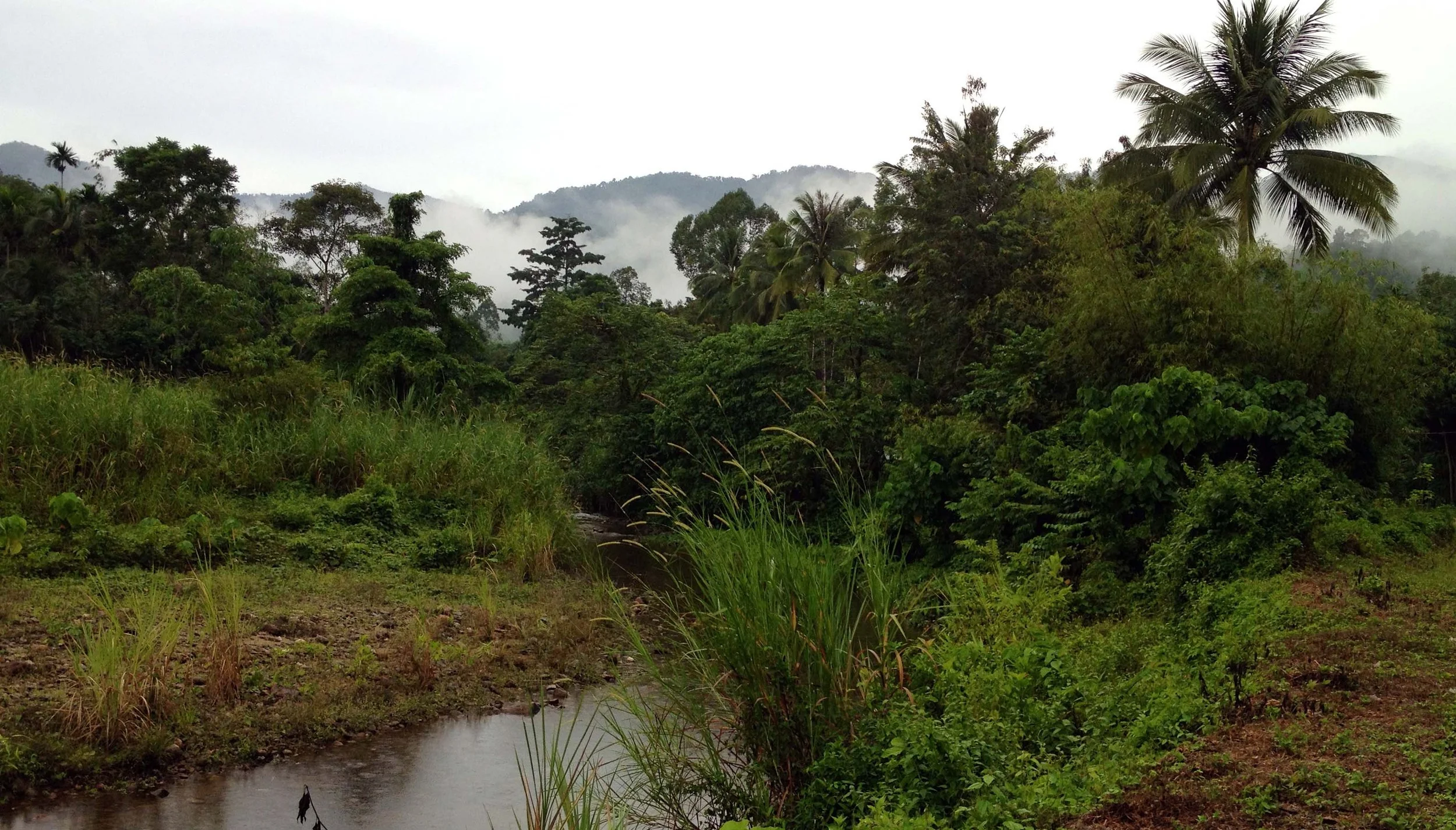 2013 in Nakhonsithammarat and some Krabi with Family (260).jpg