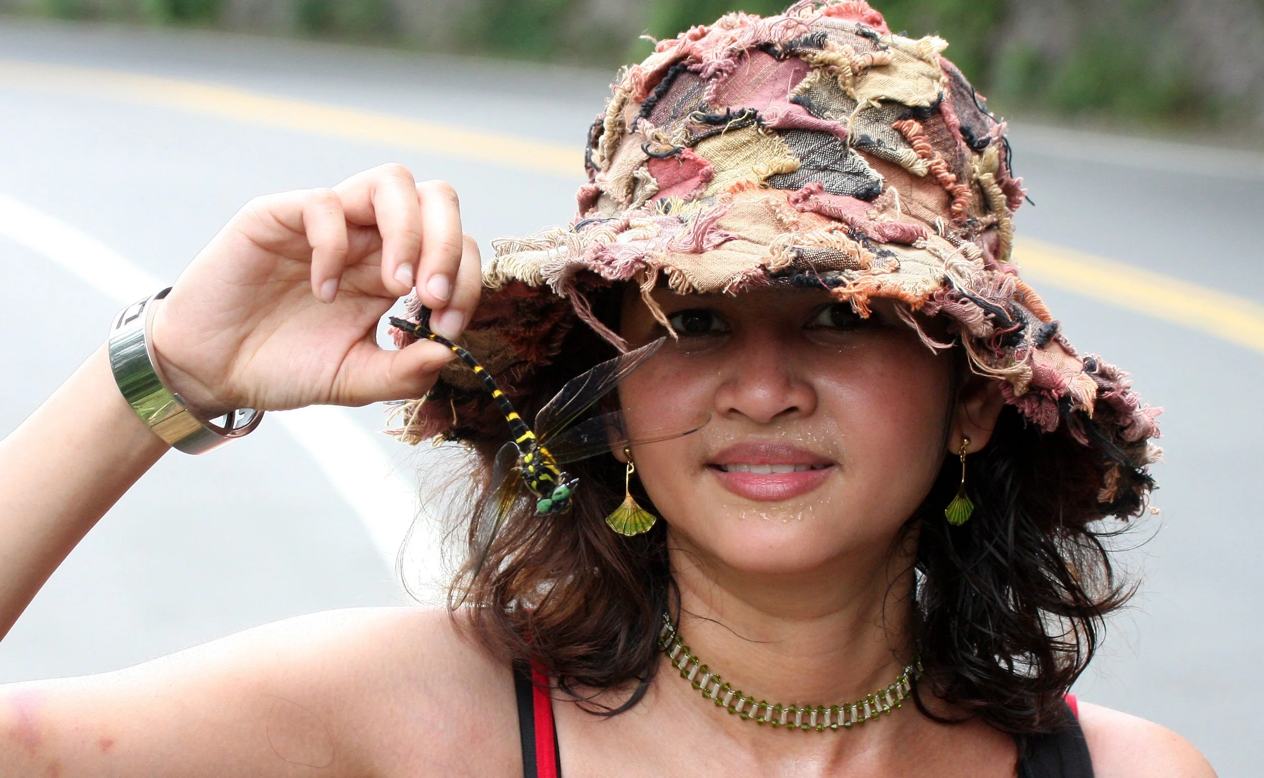 INVERT - ODONATA SPECIES - DRAGONFLY SPECIES D - TAIWAN.JPG