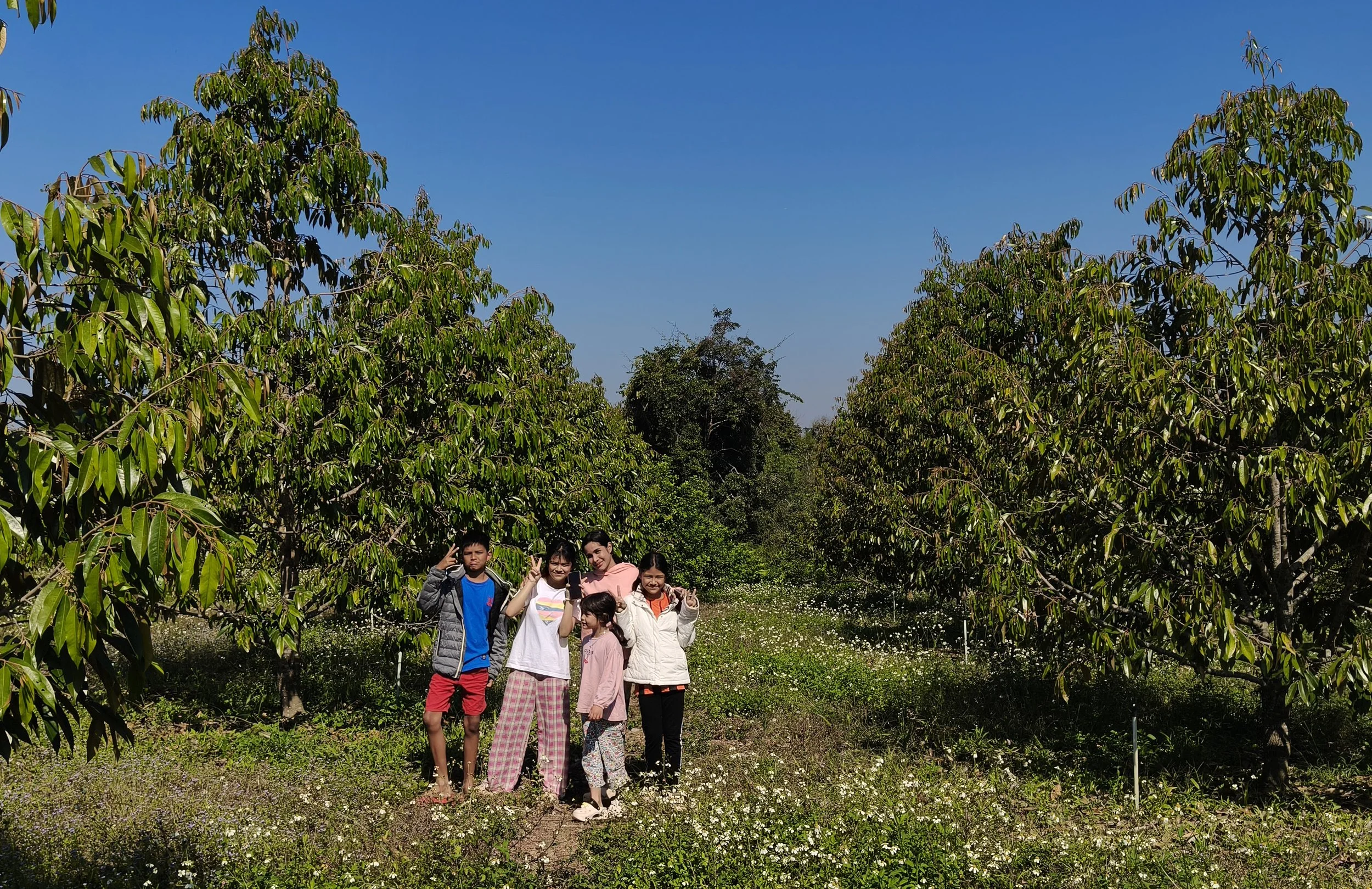 Ngao Durian Farm January 1 2026 (7).jpg