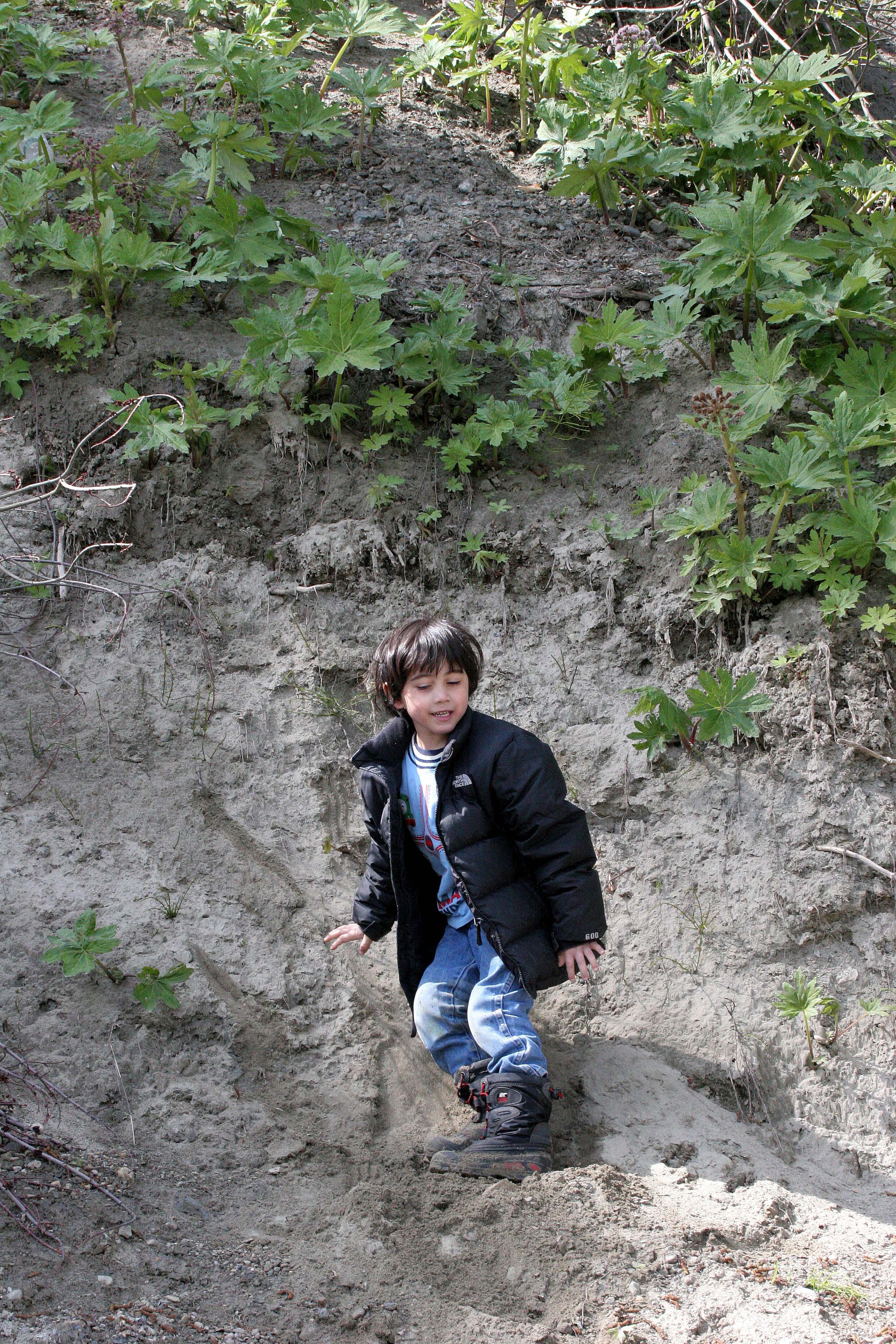 2008-4-20 LAKE FARM WALK WITH COKIE.JPG