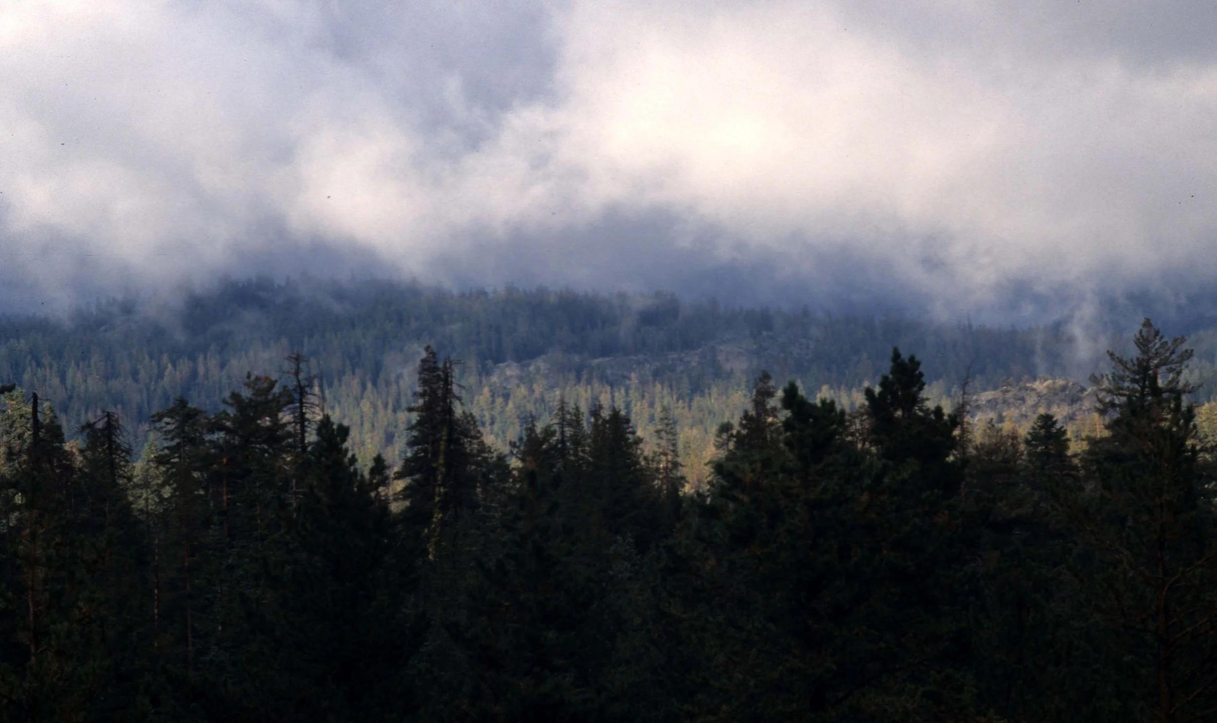 CALIFORNIA - SIERRA NEVADA MOUNTAINS (9).jpg