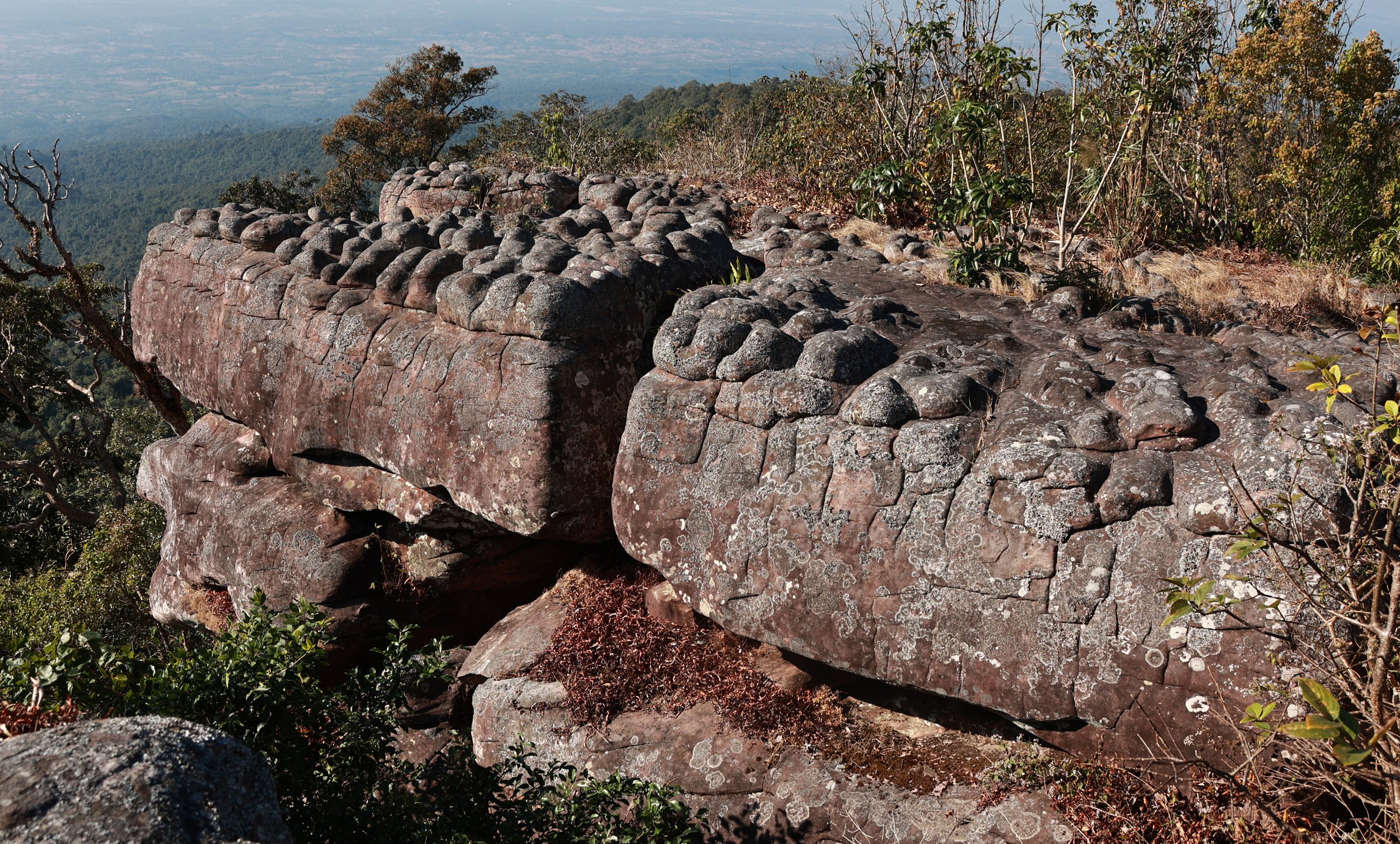 Phu Hin Rong Kla National Park Loei Province (97).jpg