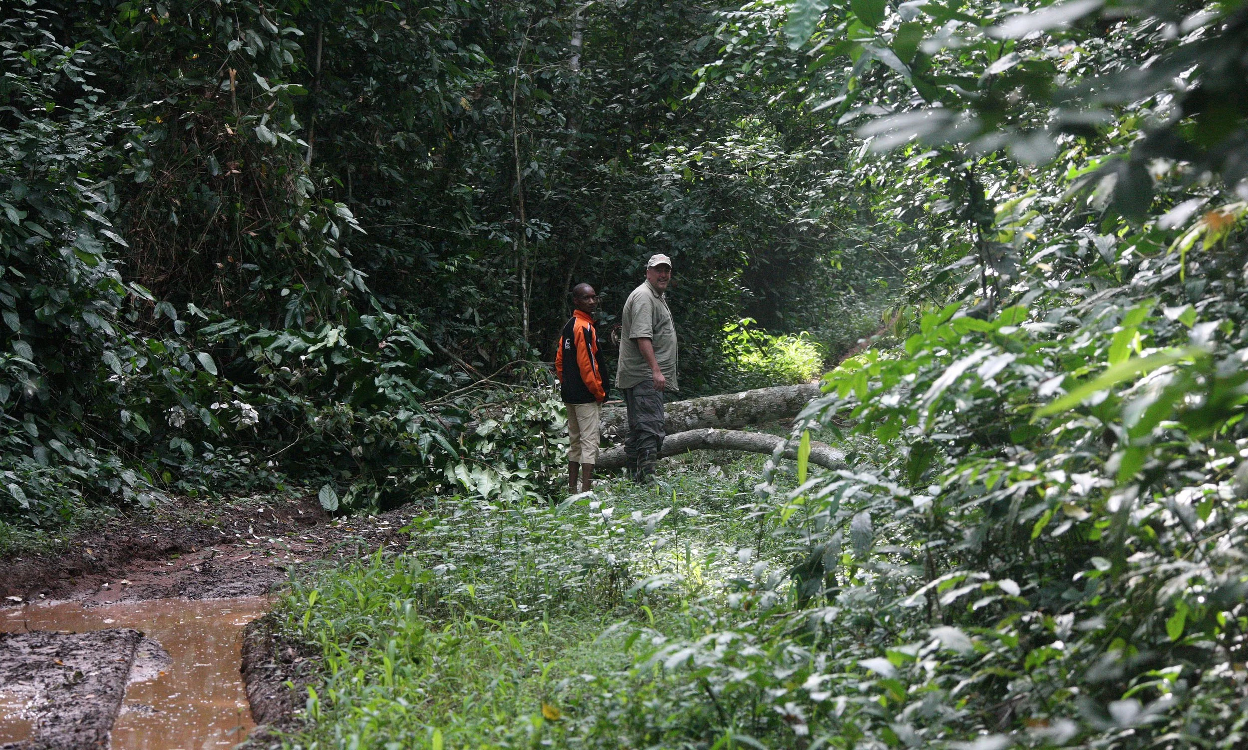 DZANGA NDOKI NATIONAL PARK CENTRAL AFRICAN REPUBLIC (33).JPG