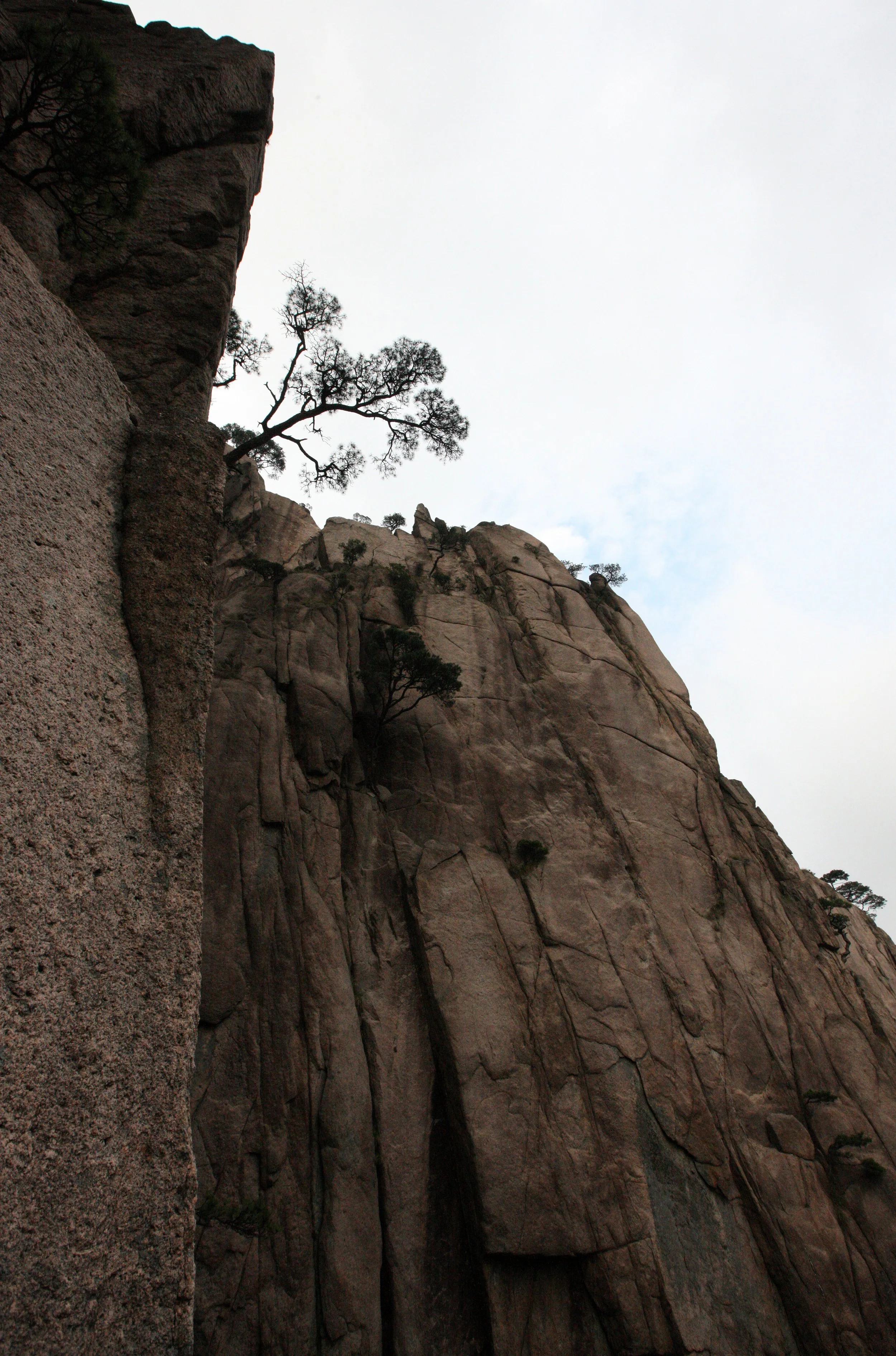 HUANGSHAN NATIONAL PARK ANHUI PROVINCE CHINA (174).JPG