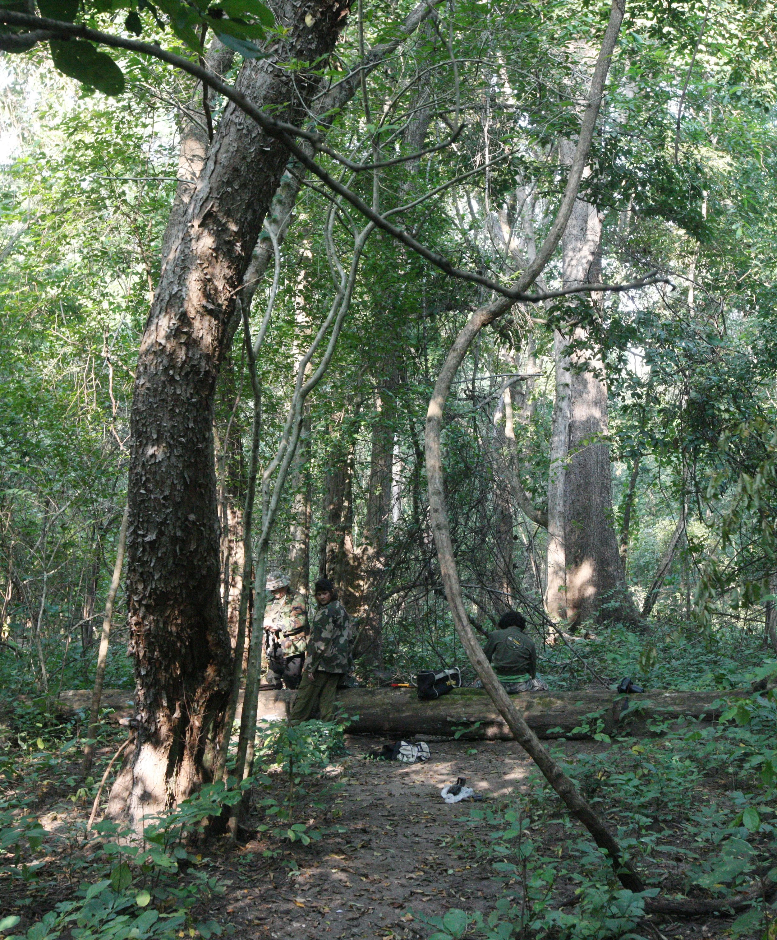 2014 Huai Kha Khaeng Bruce Kekule Trip (188).JPG
