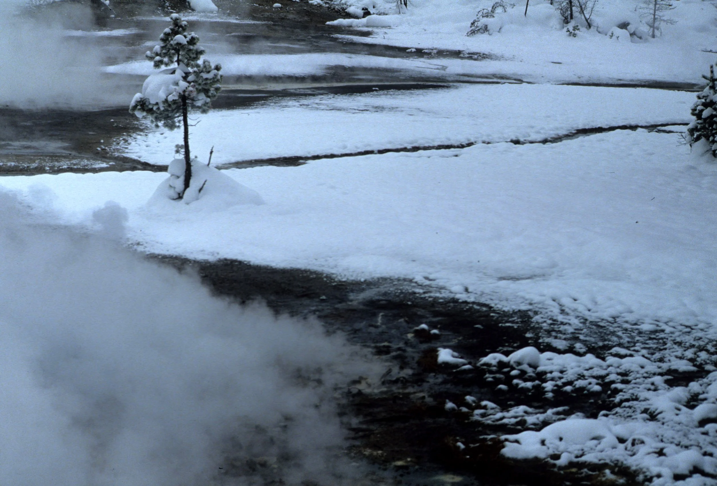 YELLOWSTONE IN WINTER - FUMEROLES.jpg