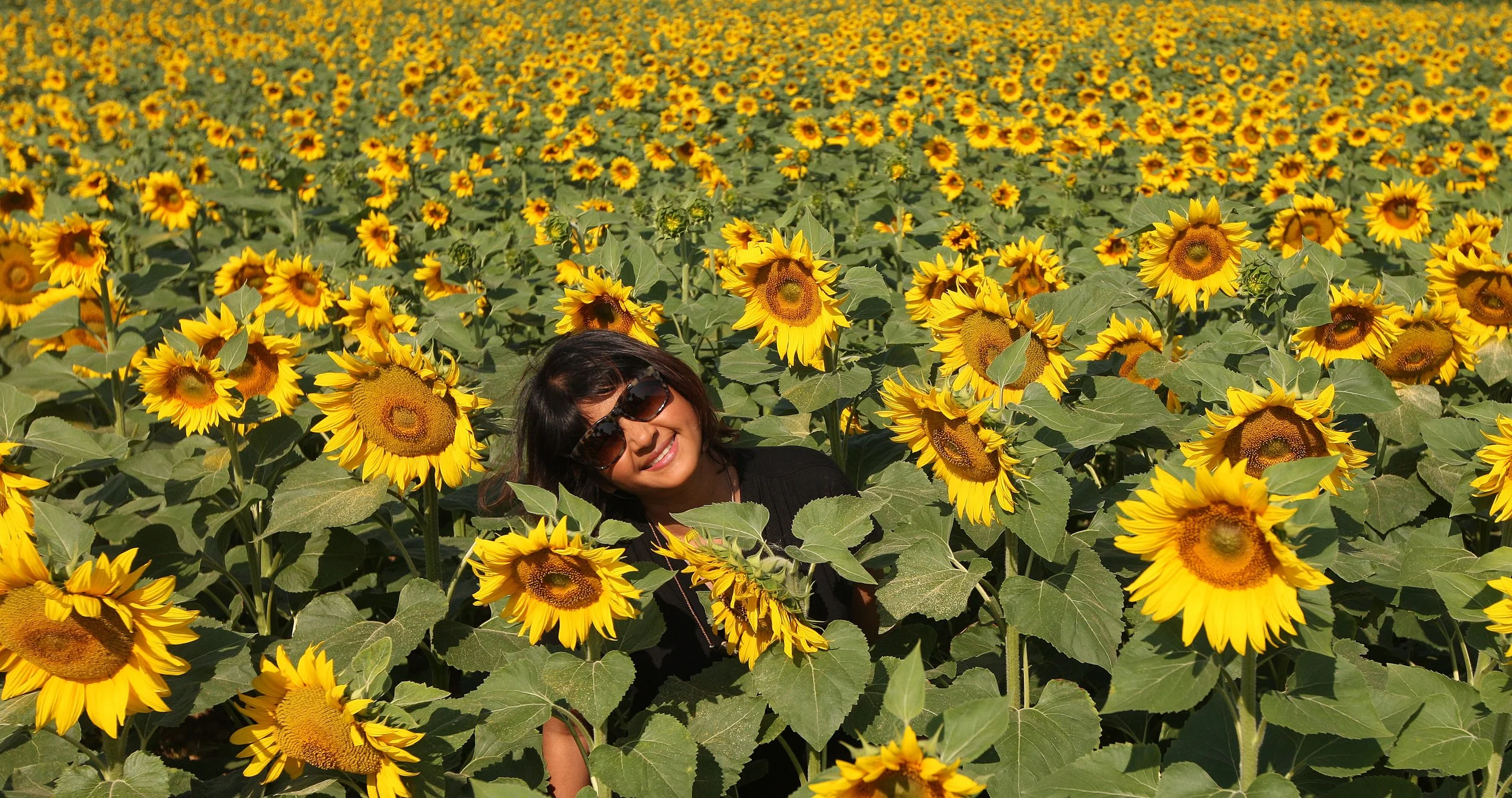 VERCORS NATIONAL PARK FRANCE (74).JPG