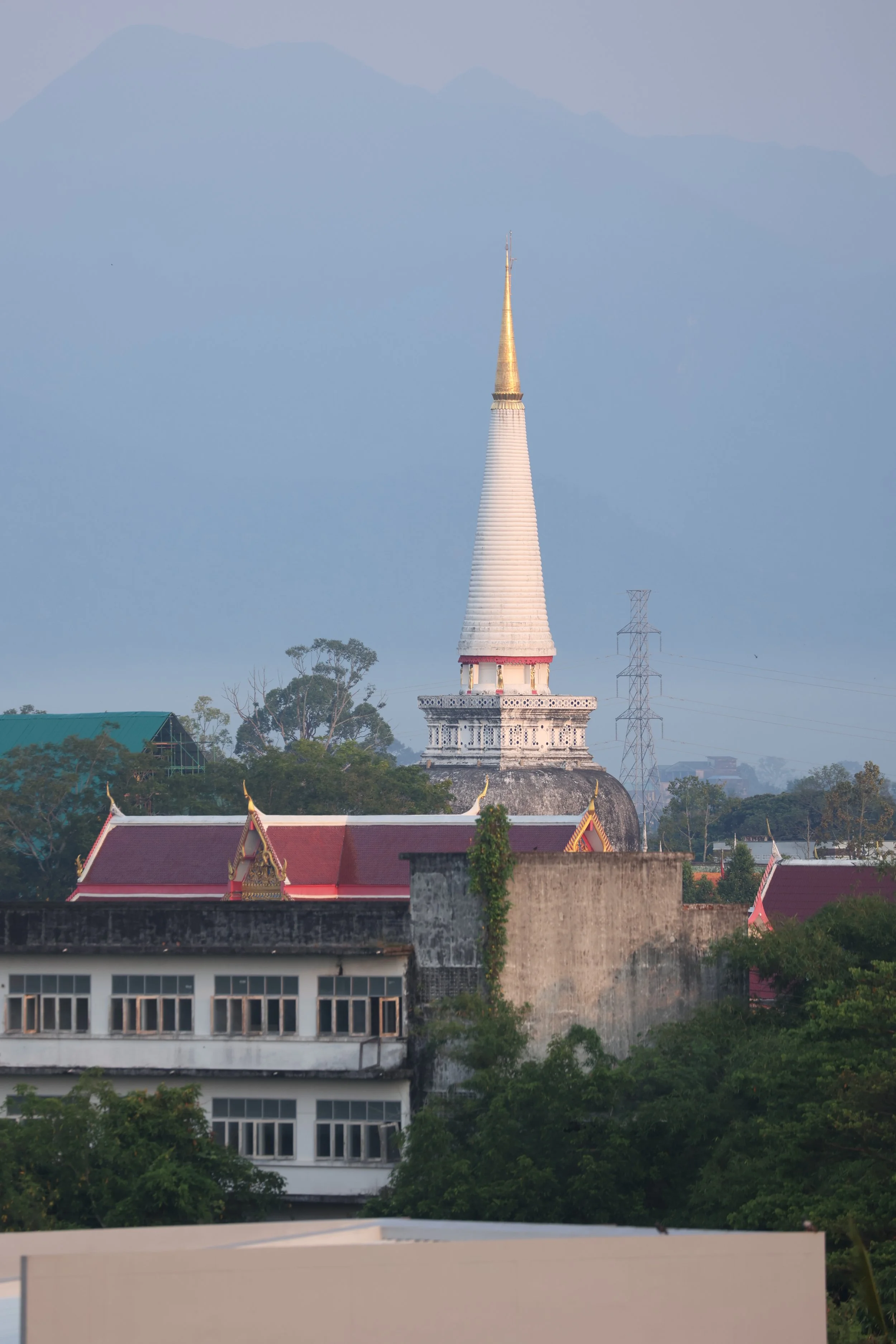 2022 Nakhonsithammarat Wat Mahatat and City Scenes with Cokie (4).JPG