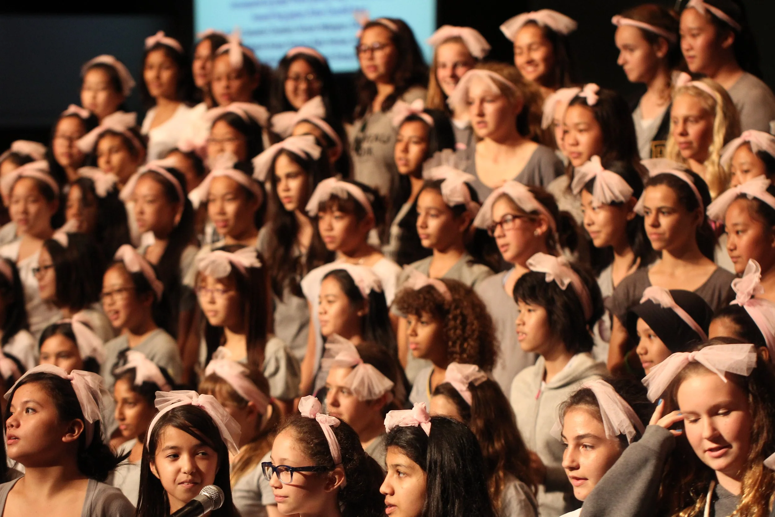 2015 Spring Concert for Cokie at ISB (22).JPG