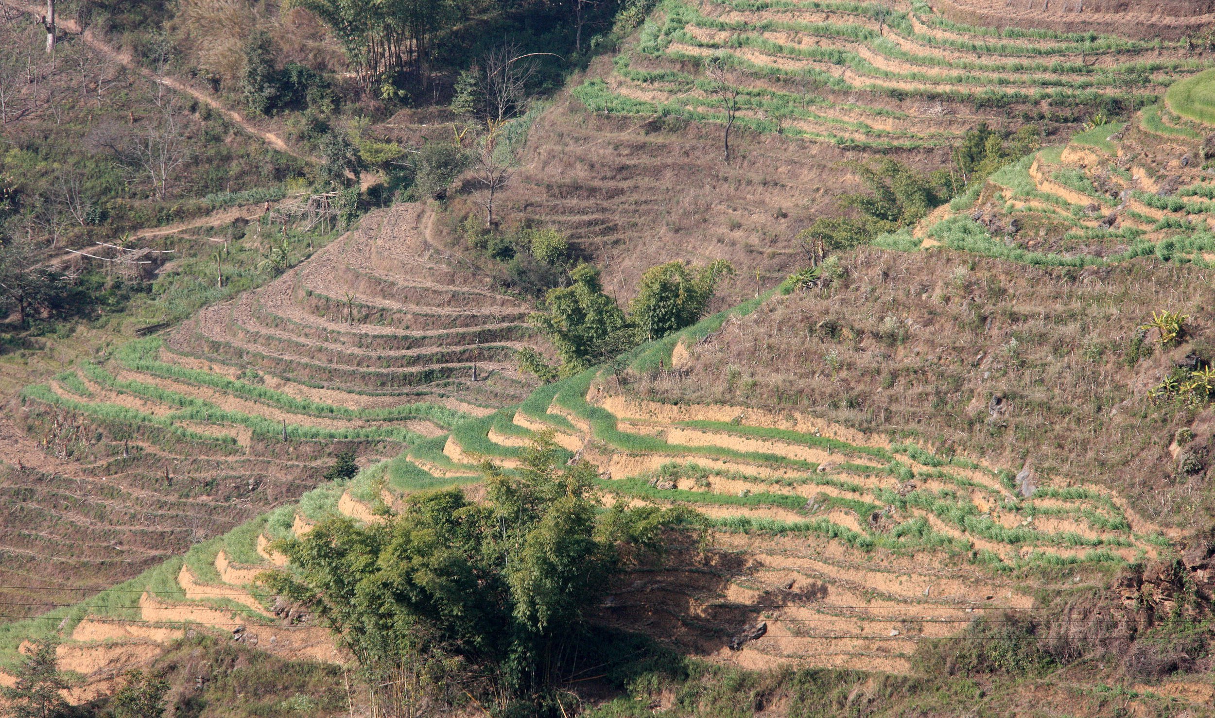 YUNNAN - WULIANGSHAN NATURE RESERVE AND SURROUNDING REGION (13).JPG