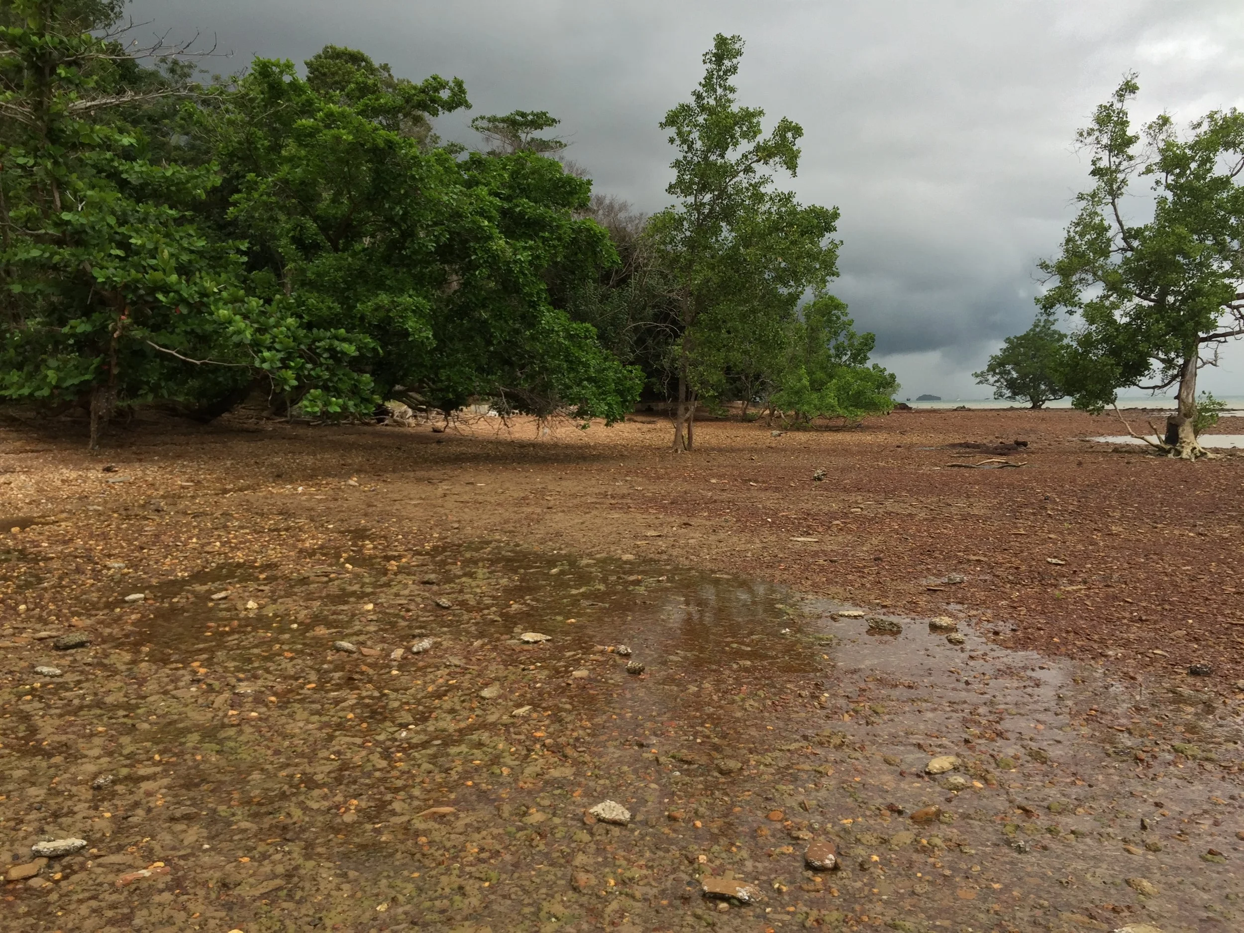 2015 Koh Lanta Garden & Nature (208).JPG