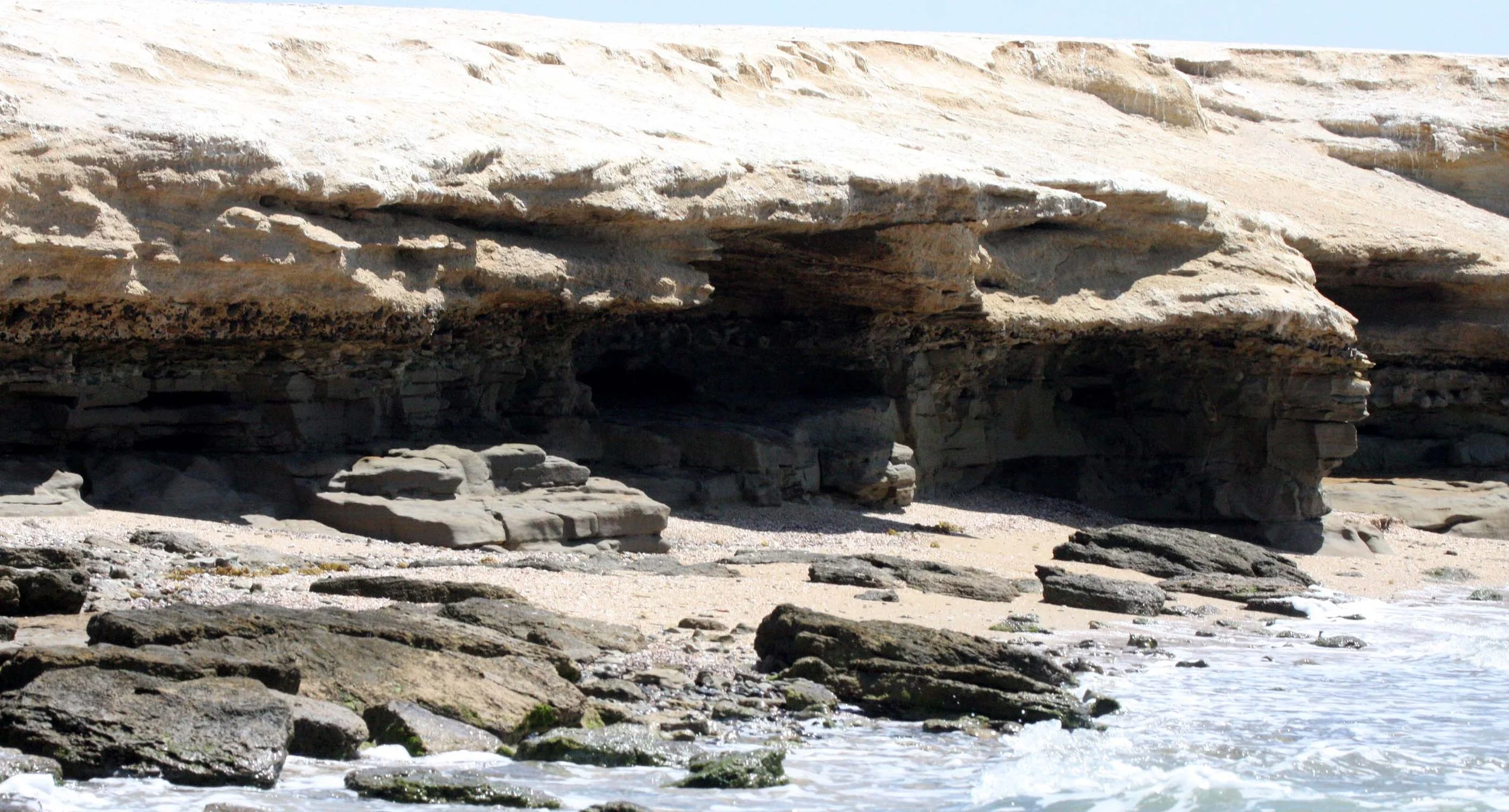 SAN IGNACIO LAGOON BAJA MEXICO - OSPREY ISLAND (3).JPG