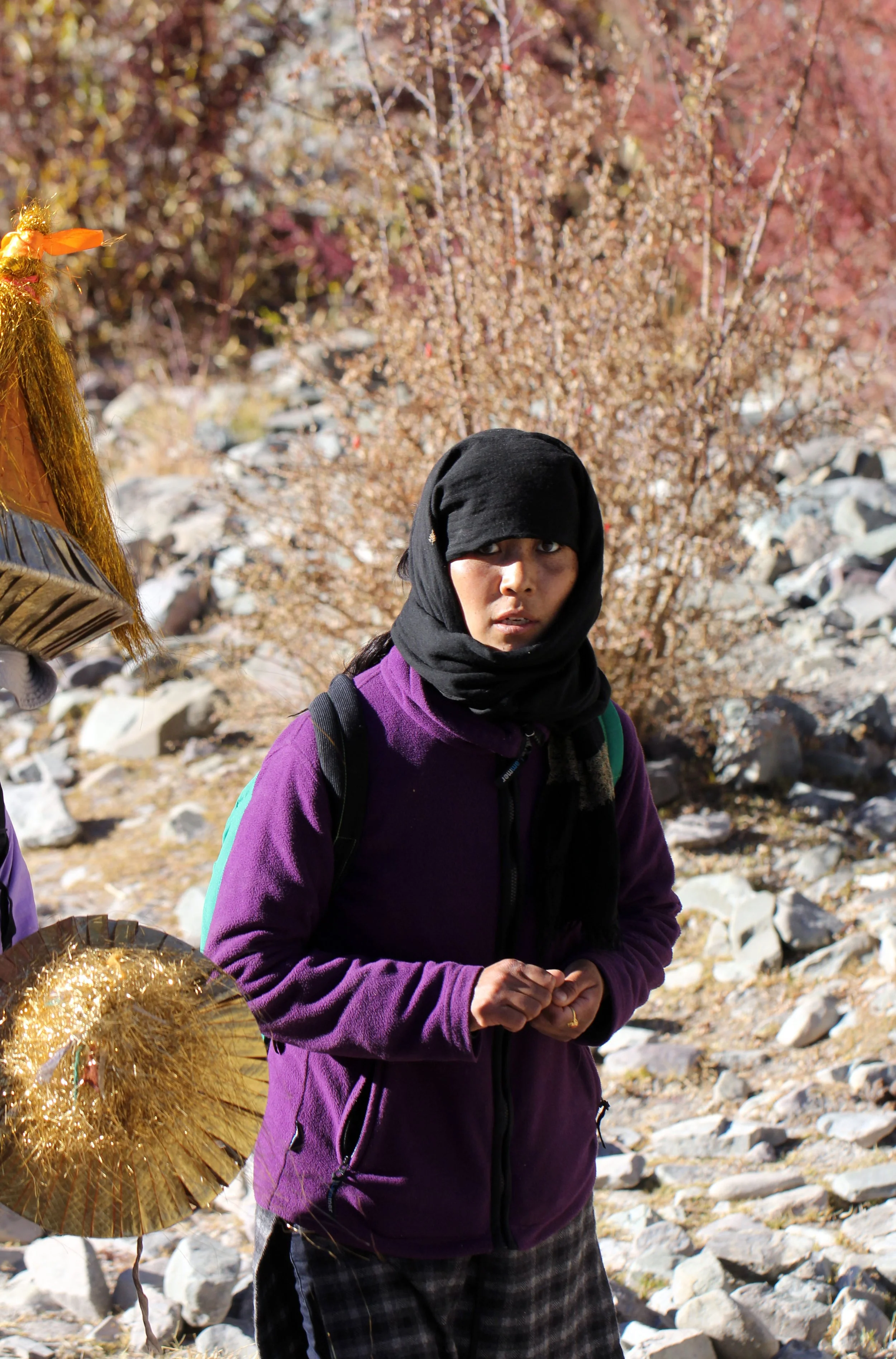 HEMIS NATIONAL PARK - LADAKH INDIA - JAMMU & KASHMIR NEAR RUMBAK VILLAGE (289).JPG