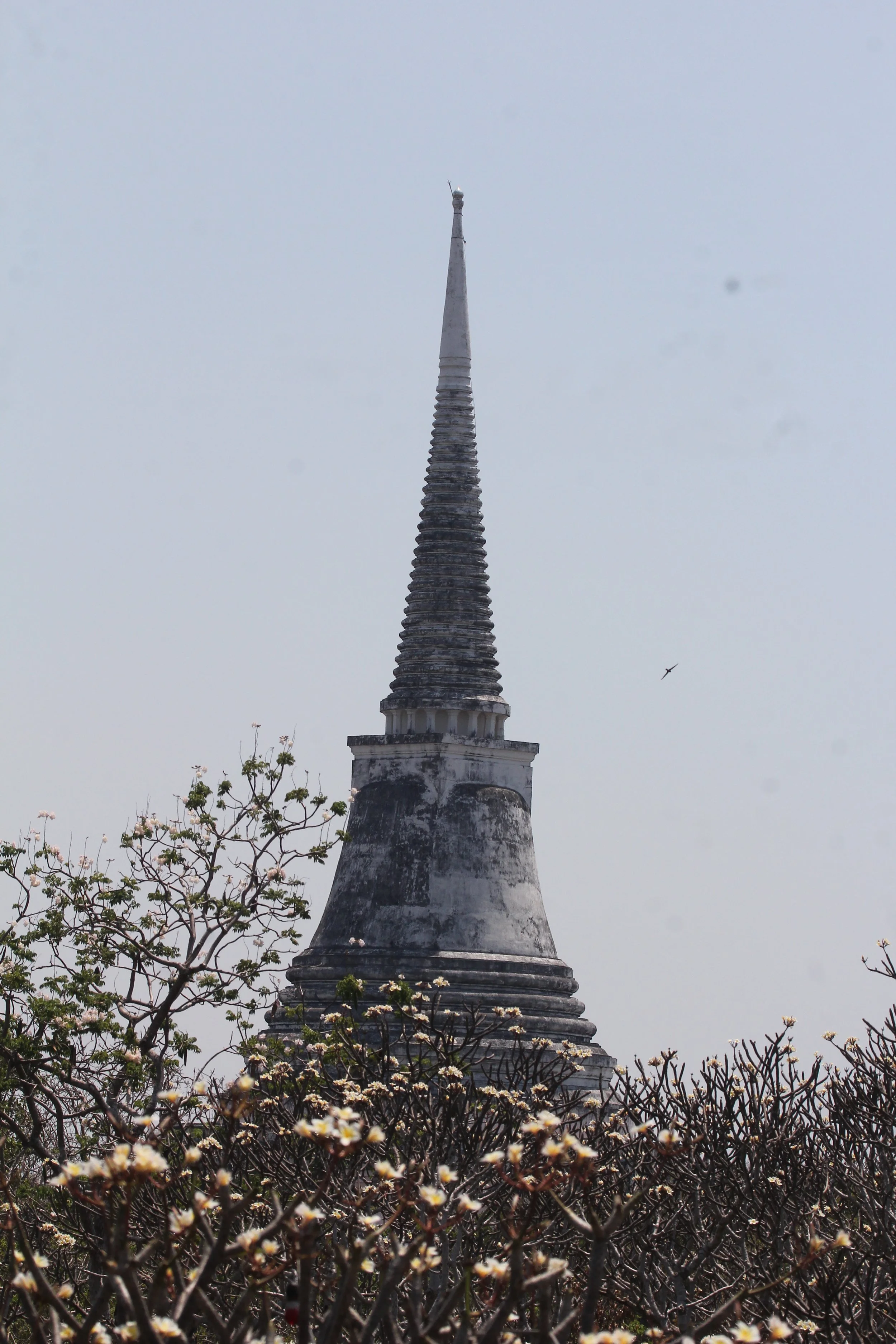 2020 - Petchaburi Temple (77).JPG