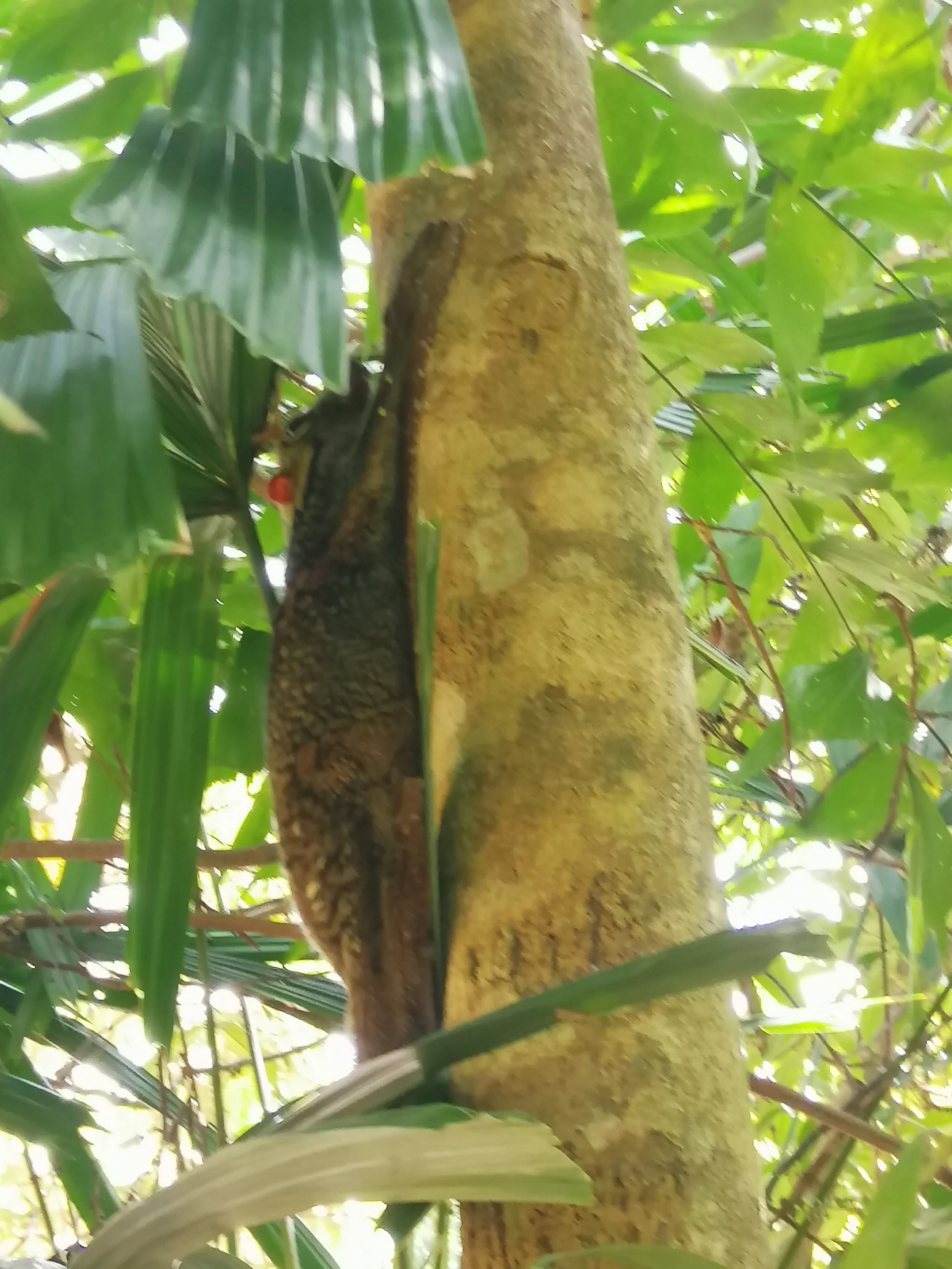 2018 Koh Lanta Misc  (74).jpg