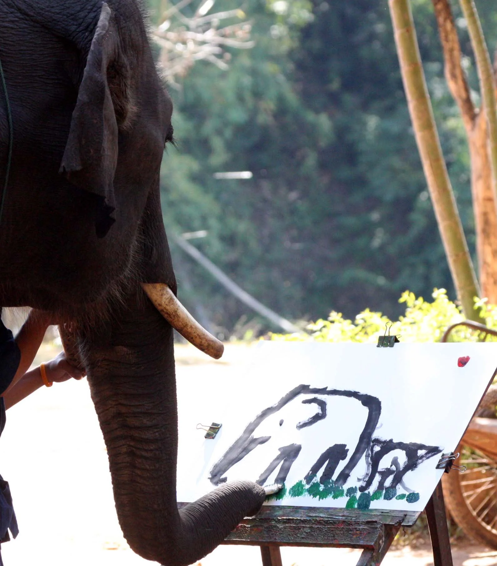 2008 Lampang City & Elephant Center (49).JPG