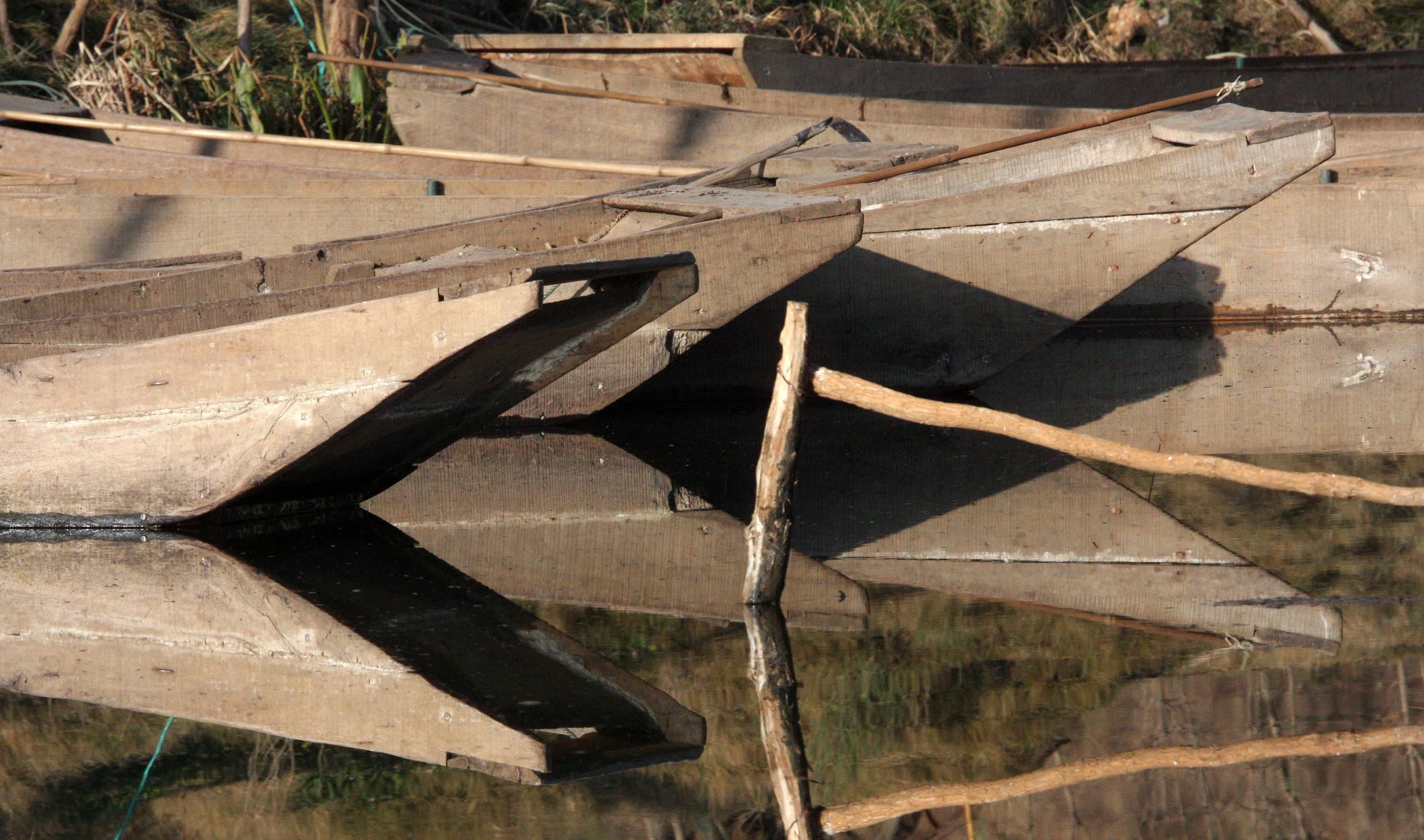 YUNNAN - DALI - WETLANDS NEAR DALI (2).JPG