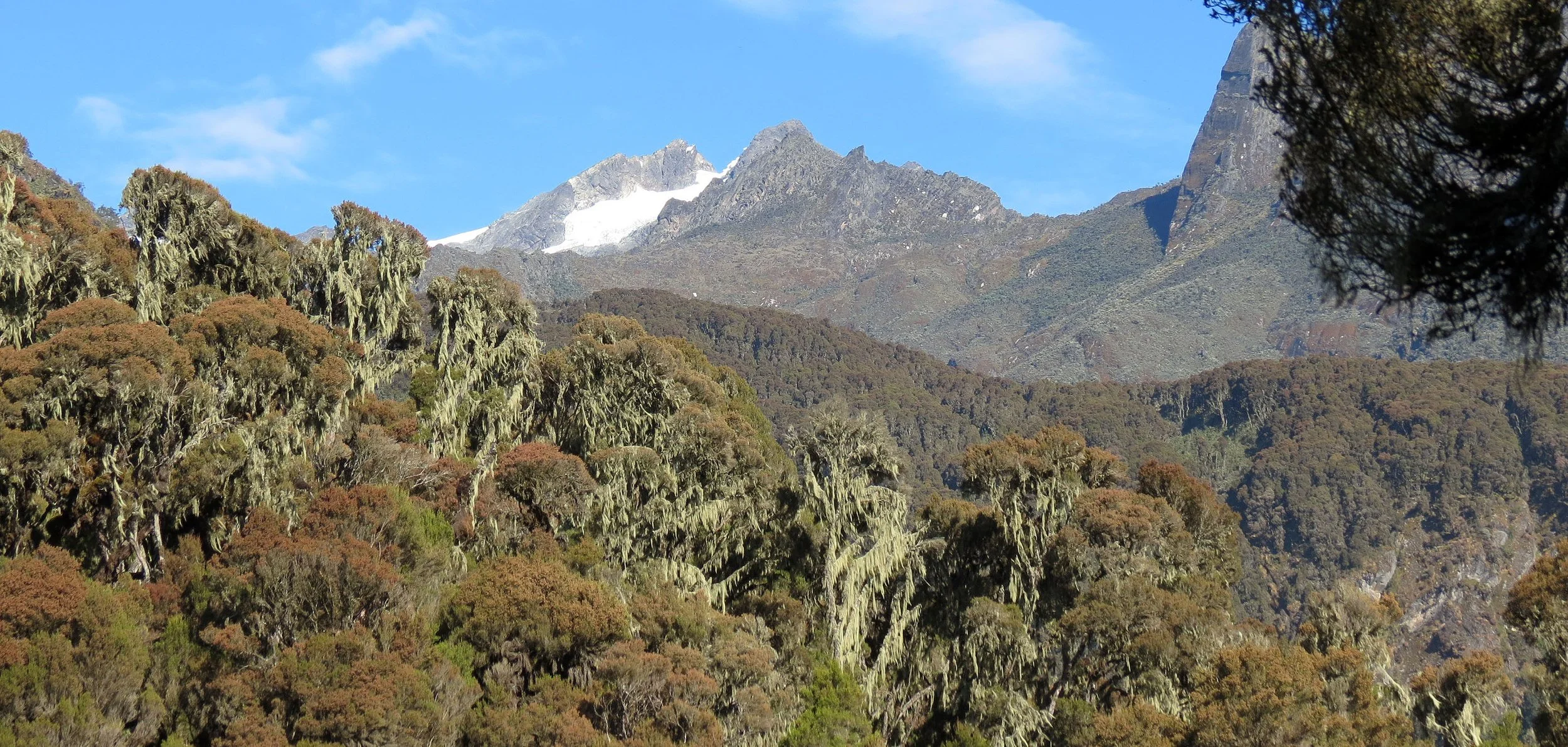 RWENZORI NATIONAL PARK UGANDA (265).JPG