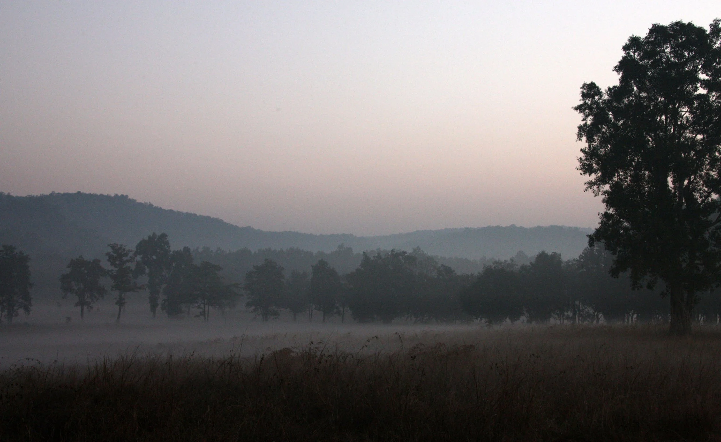MADHYA PRADESH - KANHA NATIONAL PARK MADHYA PRADESH INDIA (18).JPG