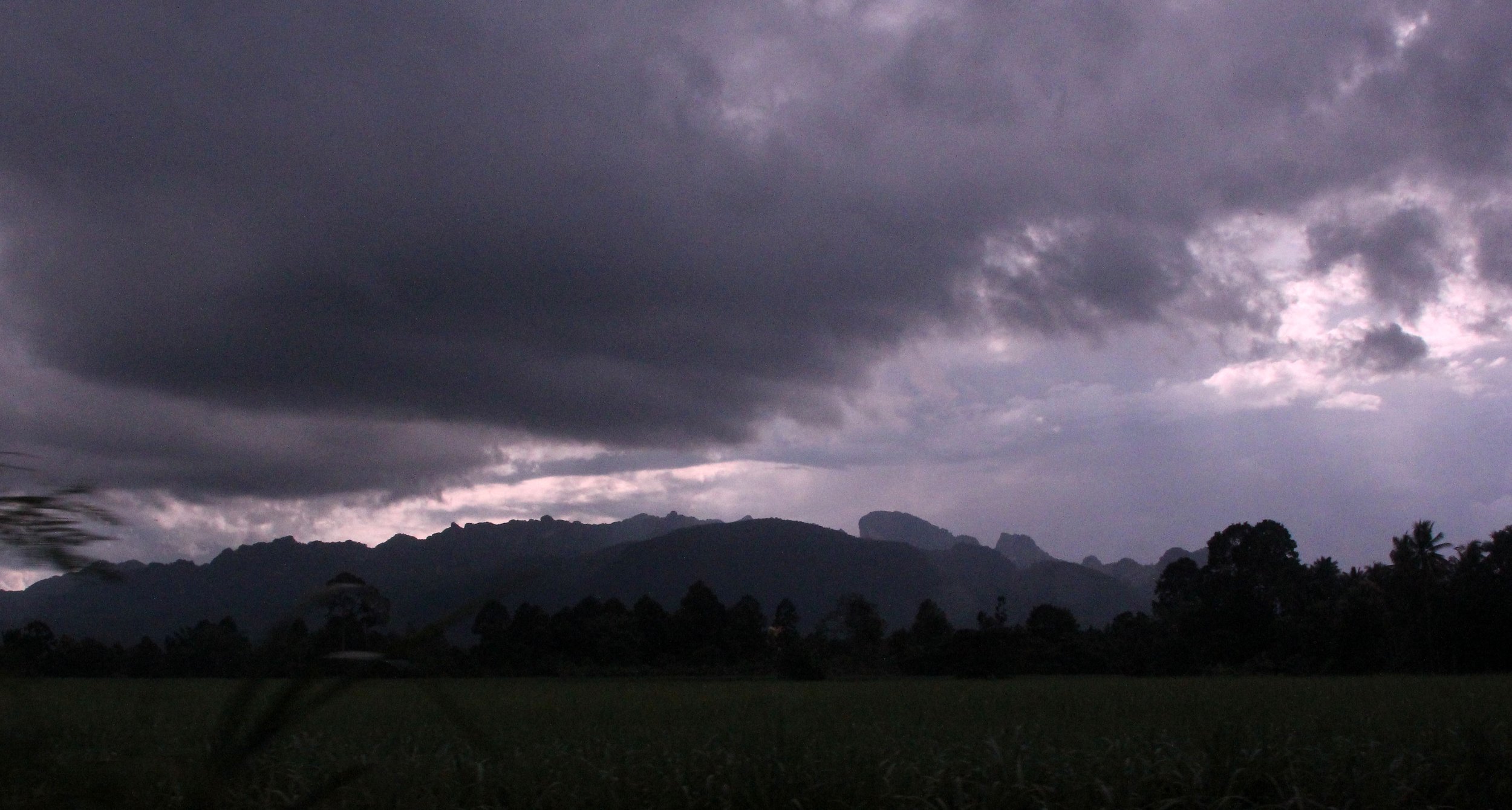 2017 Phu Khieo Wildlife Sanctuary  (2).JPG