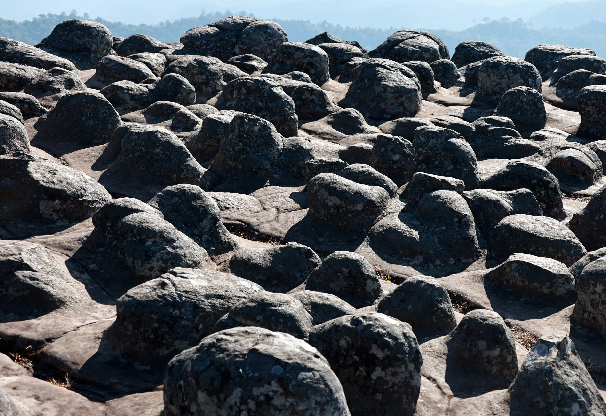 Phu Hin Rong Kla National Park Loei Province (78).jpg