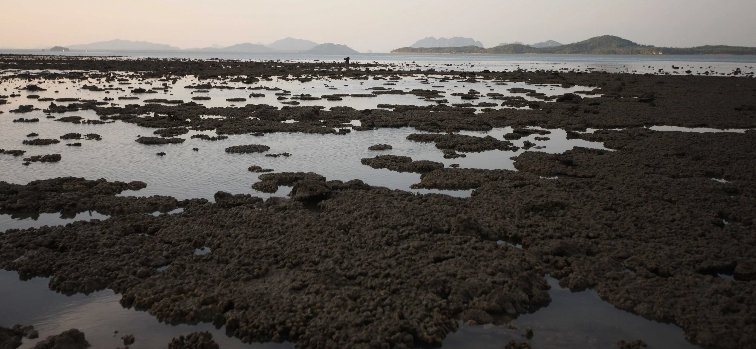 2015 Koh Lanta Songkran with friends from ISB (222).JPG