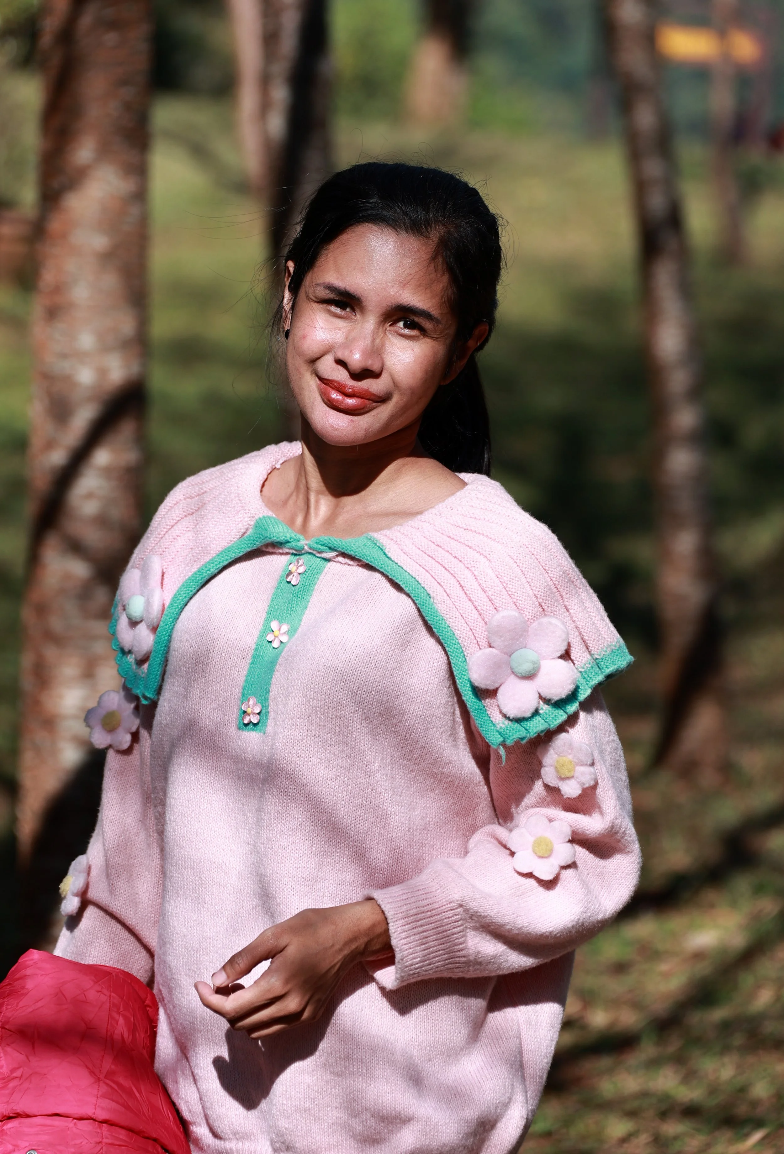 Phu Hin Rong Kla National Park Loei Province (19).jpg