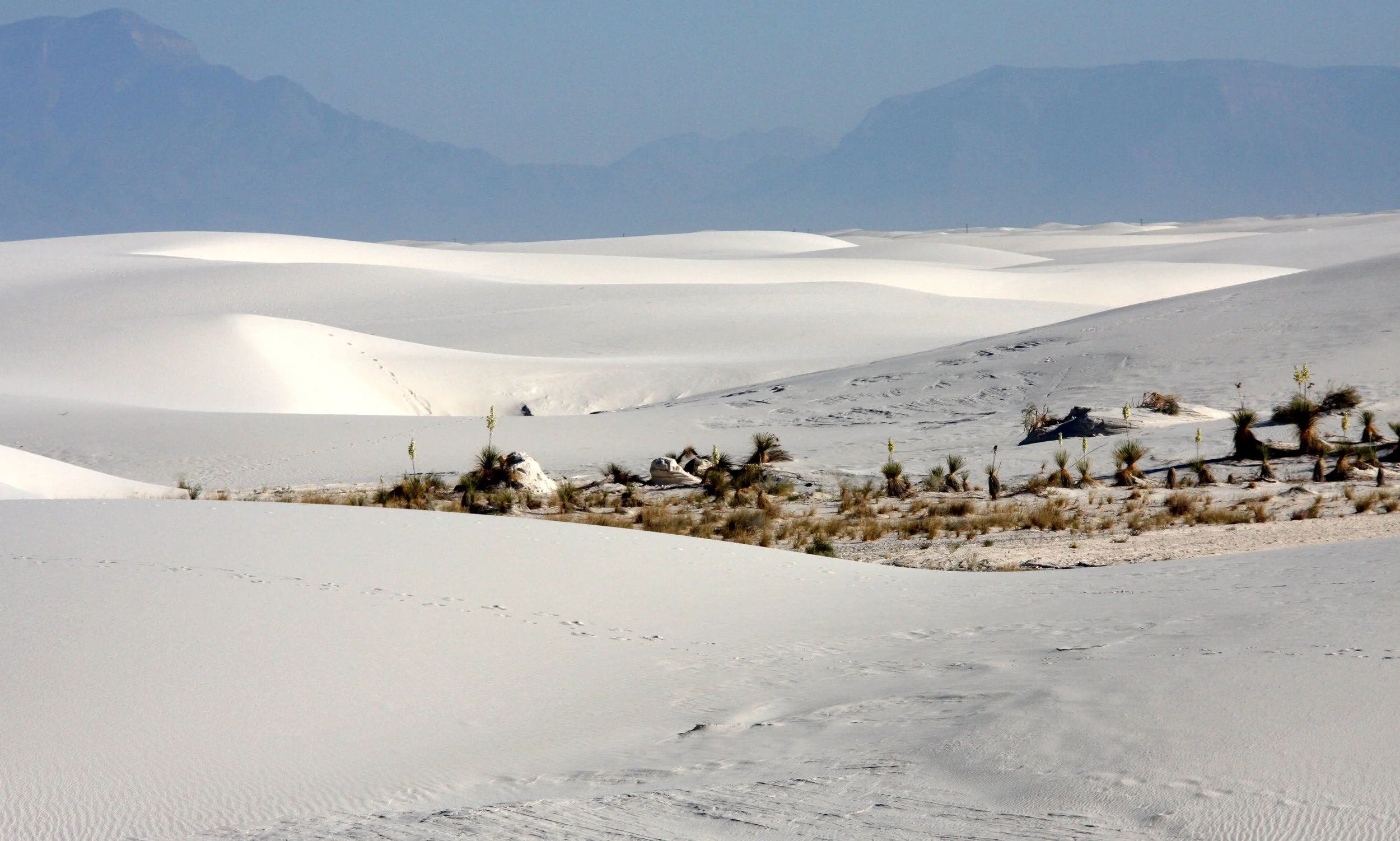 WHITE SANDS NATIONAL MONUMENT - JUNE 2010 (18).JPG