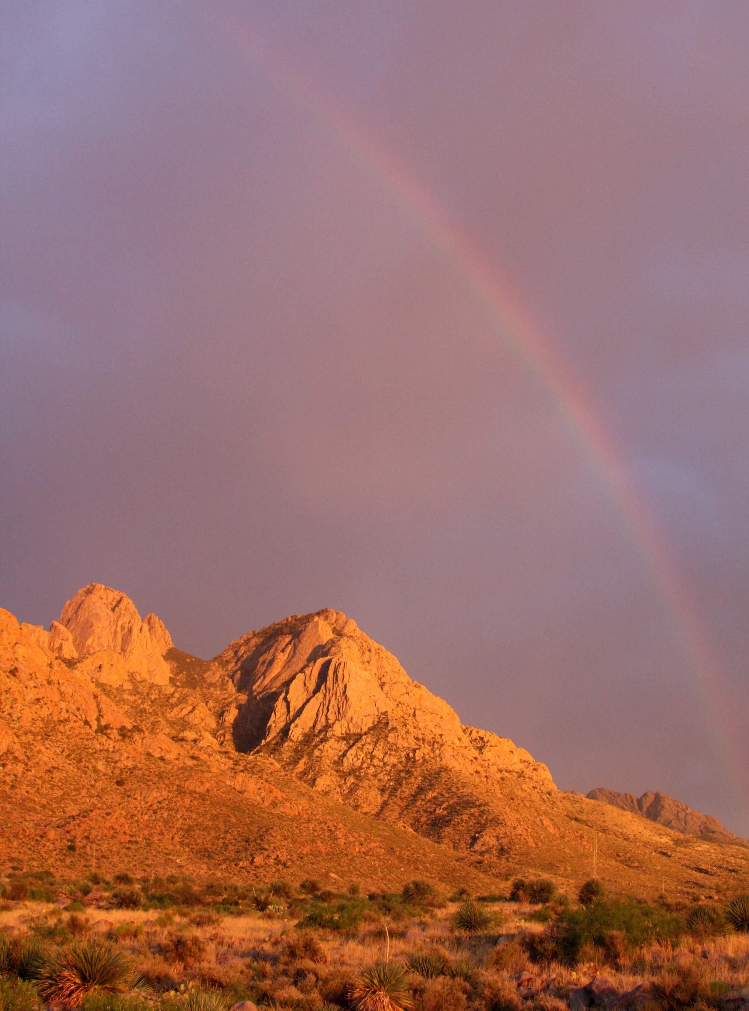 LAS CRUCES NEW MEXICO - ORGAN MOUNTAINS (19).JPG