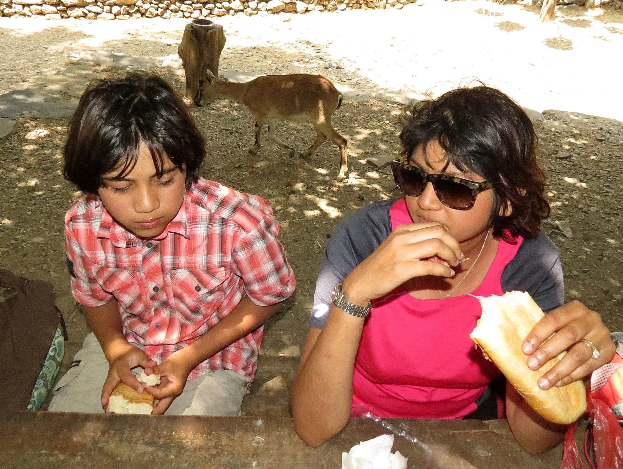 SAMARIA GORGE NATIONAL PARK CRETE, GREECE (12).JPG