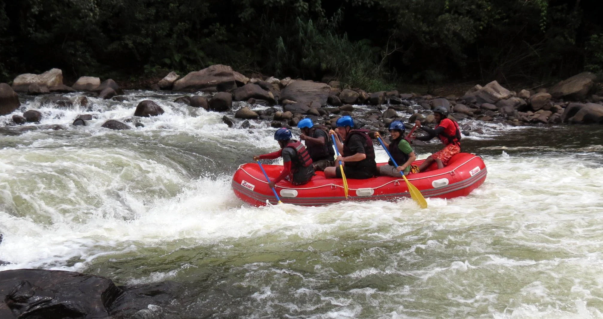 KITULGALA FOREST PRESERVE SRI LANKA (57).JPG