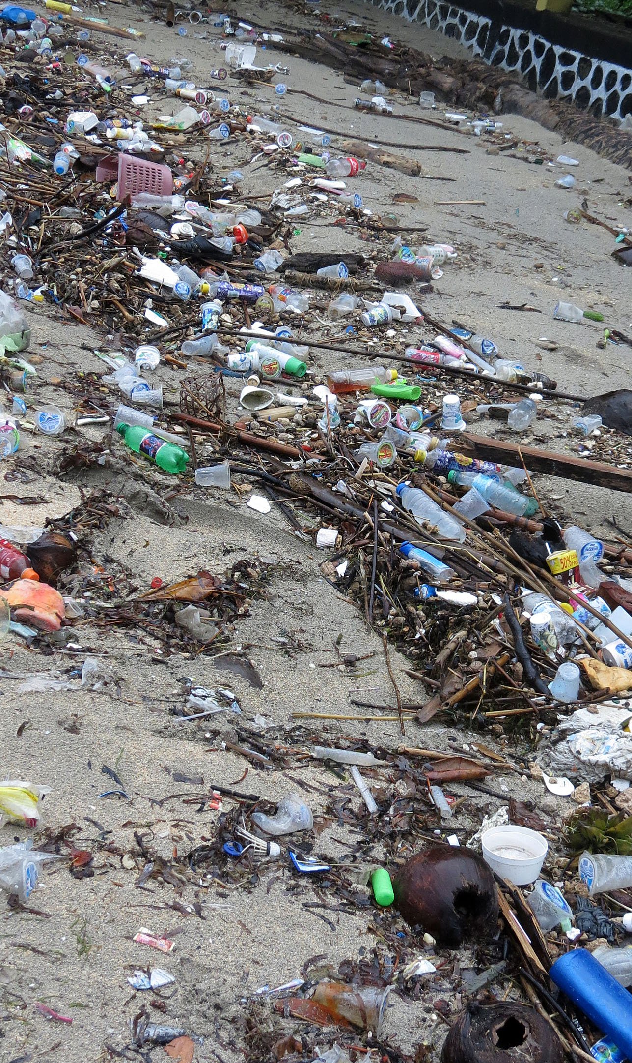 BUNAKEN ISLAND - SULAWESI INDONESIA (7).JPG