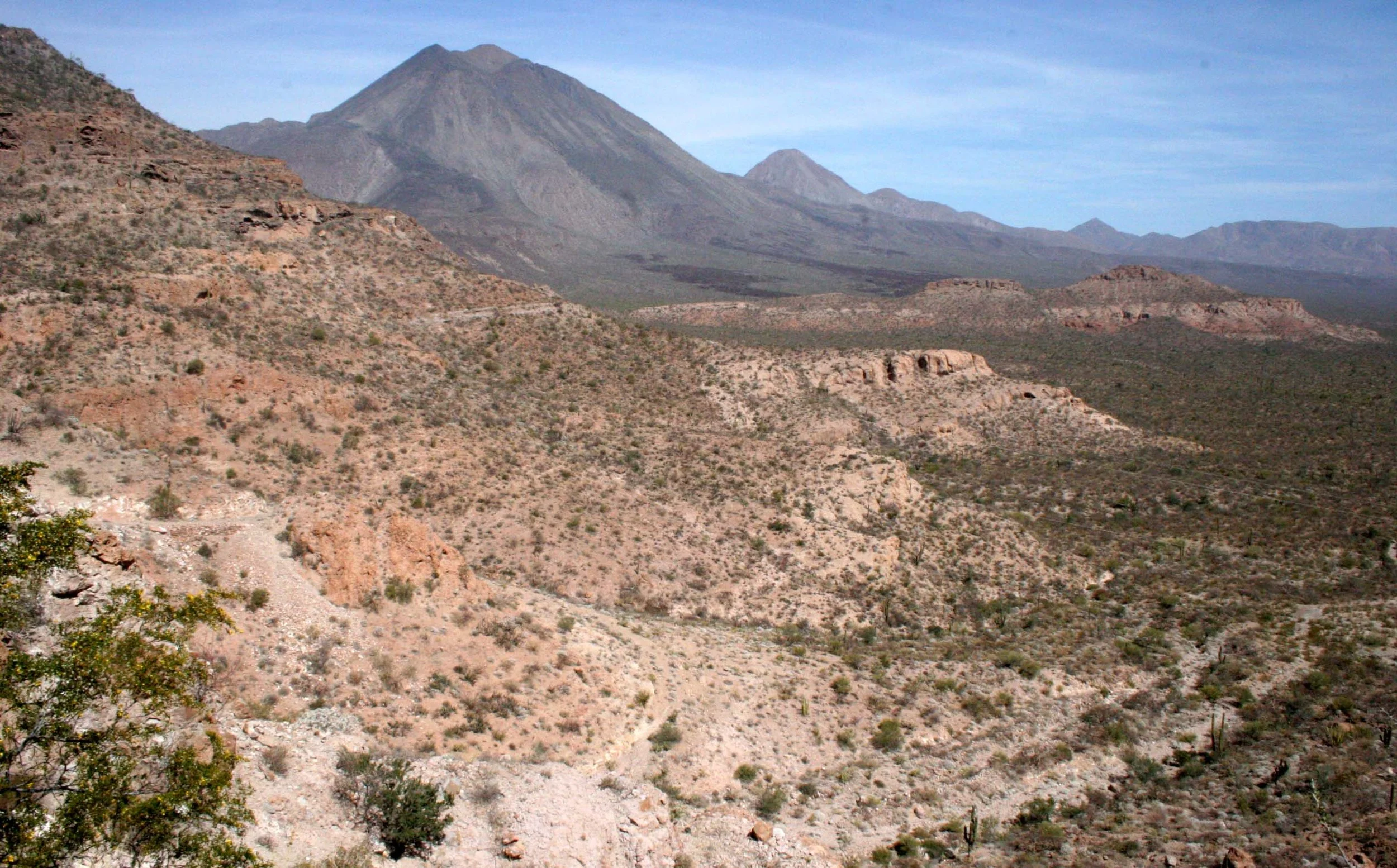 BAJA DESERT COMMUNITY (2).JPG