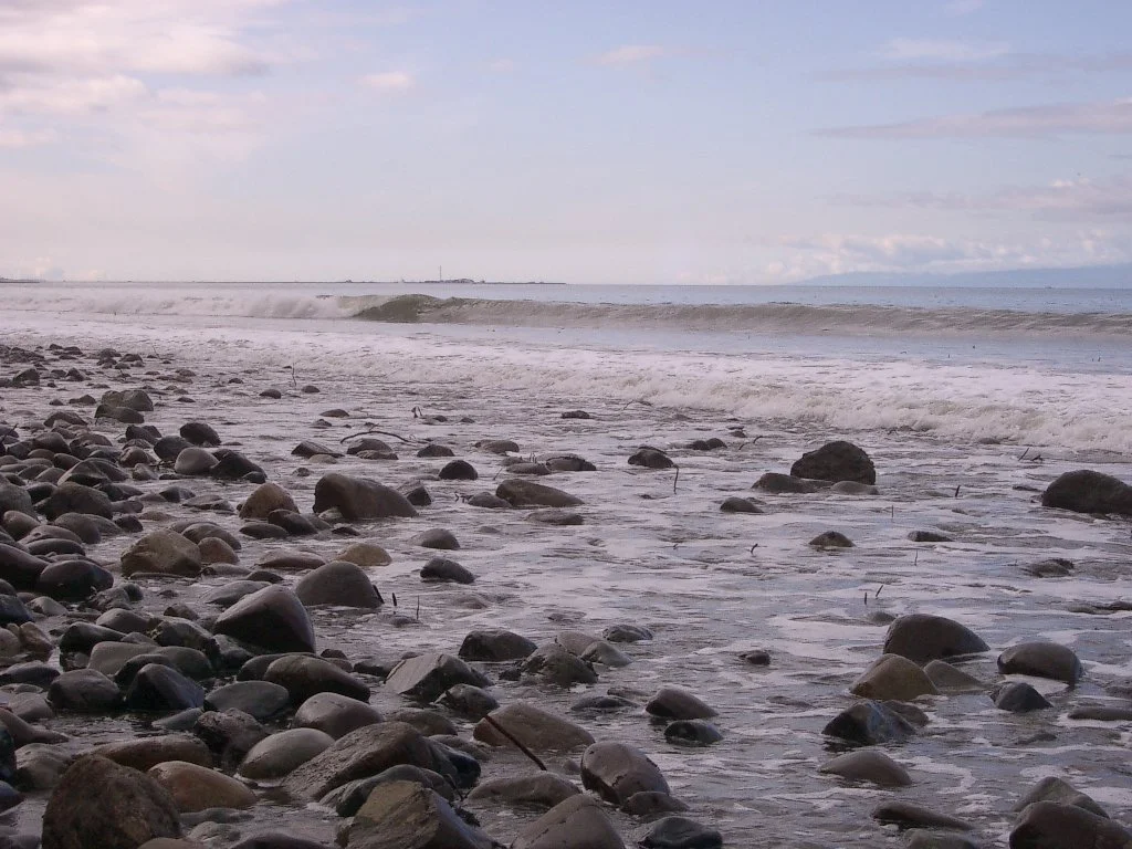 2004-3-12 LAKE FARM DAY AT THE BEACH (26).JPG