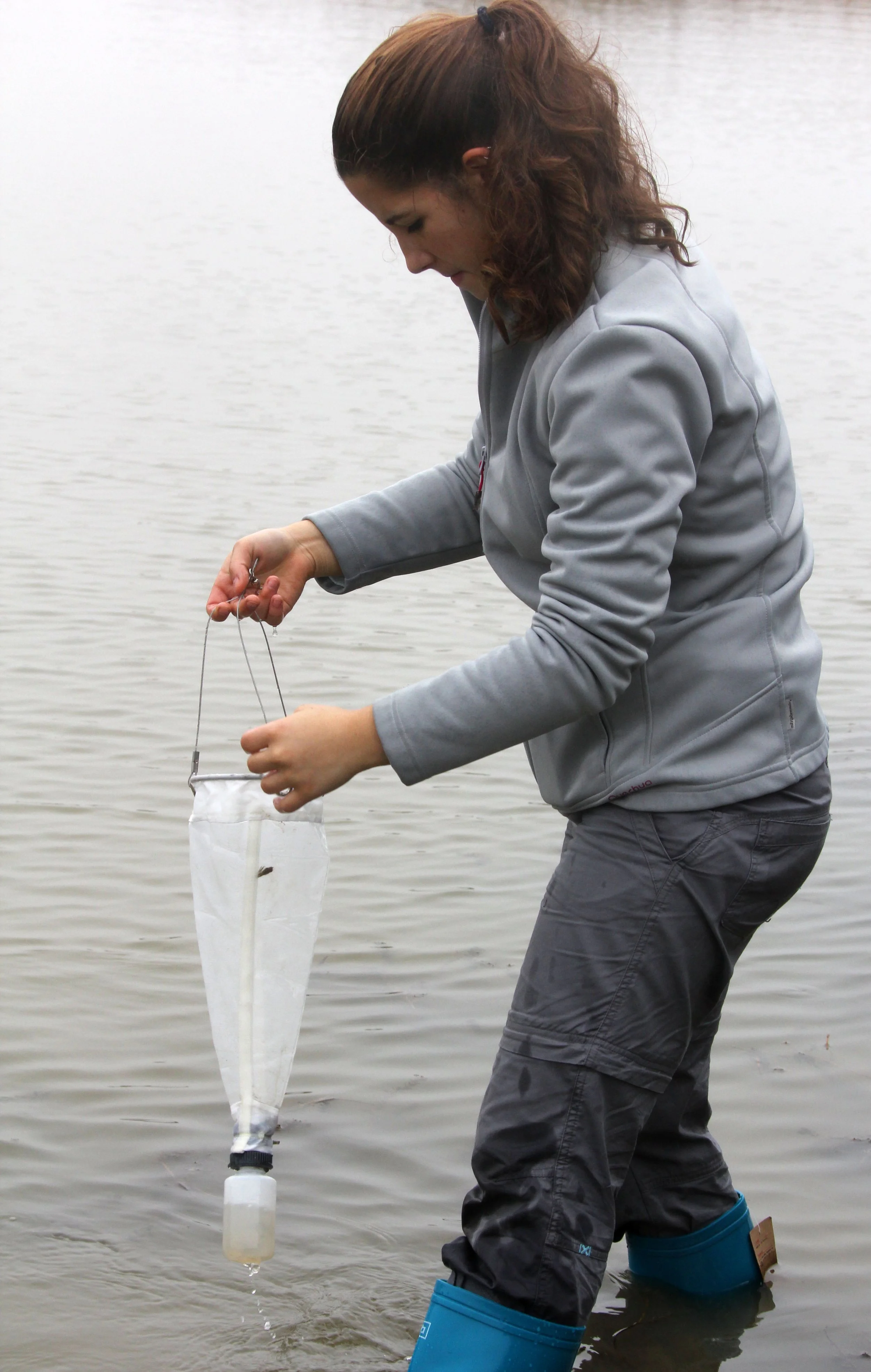 CHONGMING ISLAND DONGTAN WETLAND RESERVE CHINA - FIELD TRIP WITH IB AND APES 2012 11-16 (29).JPG