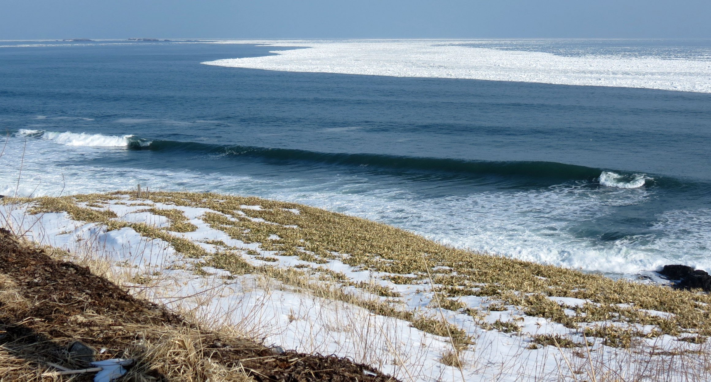 HANASAKI HARBOR AND CAPE - NEMURO PENINSULA - HOKKAIDO JAPAN (1).JPG