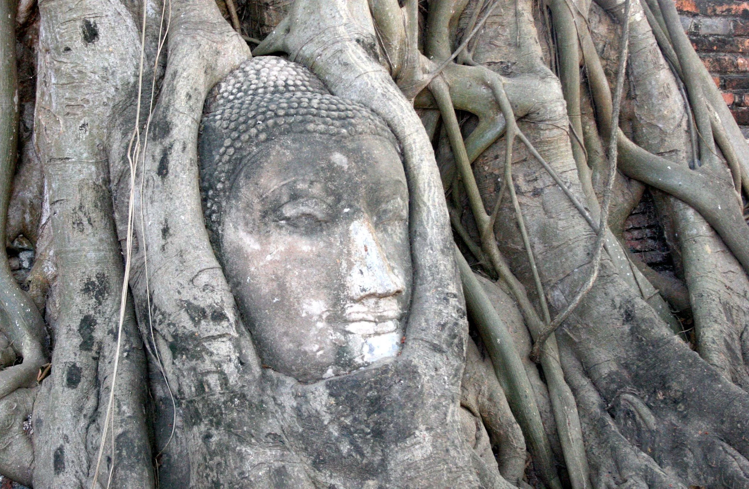 AYUDTHAYA - CHRISTMAS TRIP 2008 (24).JPG